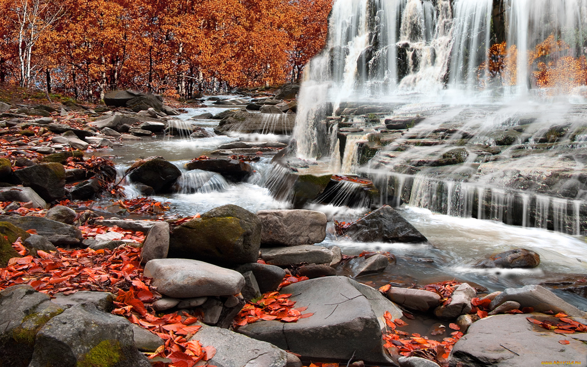 autumn, rapids, природа, водопады, осень, деревья, камни, листва, водопад