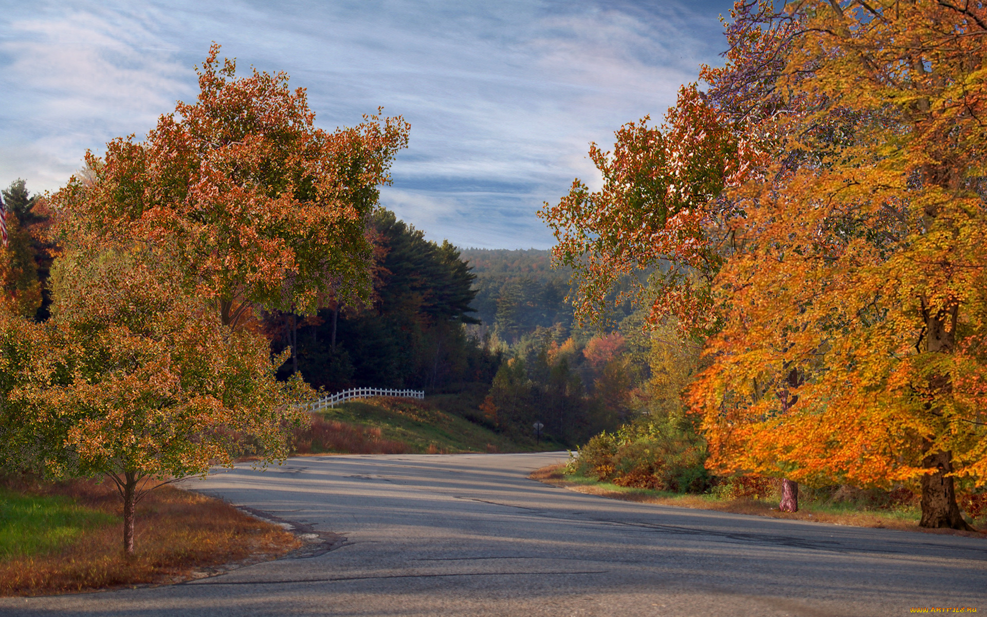 autumn, roadside, природа, дороги, осень, дорога, деревья