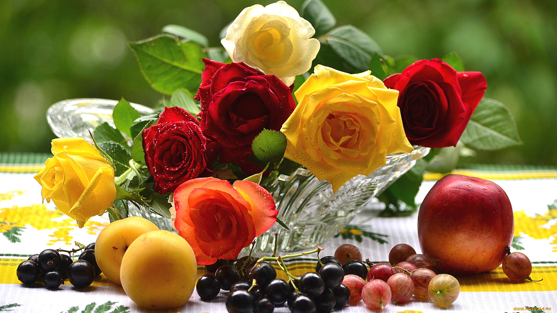 еда, фрукты, , ягоды, розы, абрикос, крыжовник, смородина