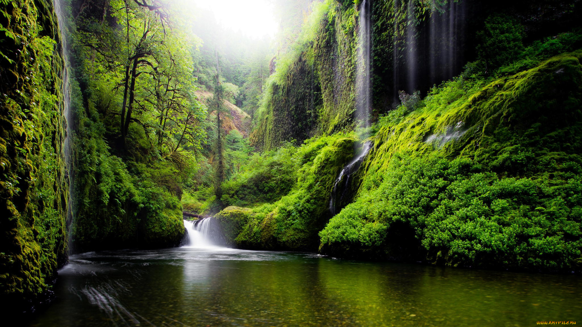 природа, водопады, сша, деревья, вода, река, штат, орегон, весна, зелень, листья