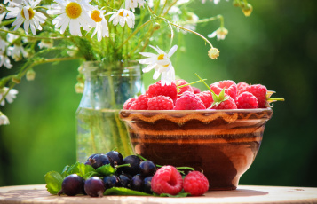 Картинка еда фрукты +ягоды смородина малина
