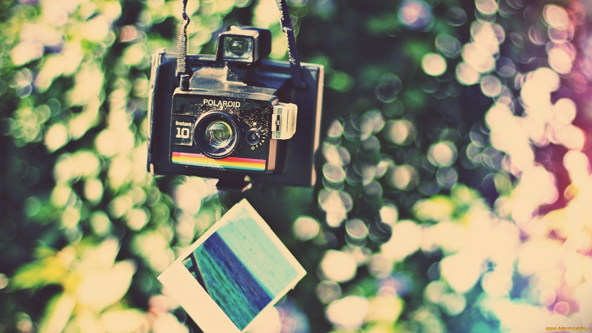бренды, polaroid, снимок, камера, радуга, блики, фотоаппарат, полароид