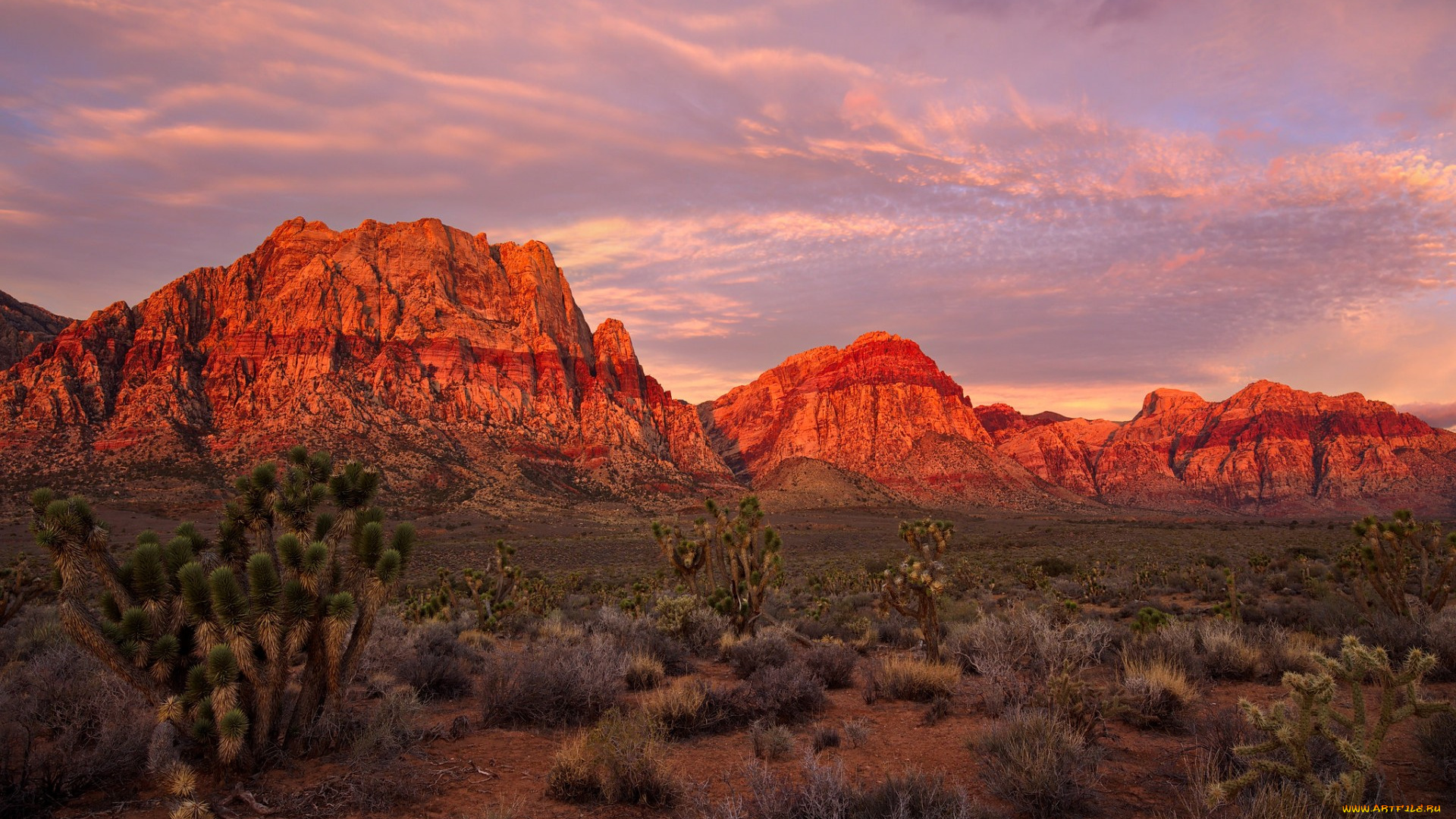 природа, горы, пустыня, зарево, скалы, сша, невада, лас-вегас, national, conservation, area, red, rock, canyon