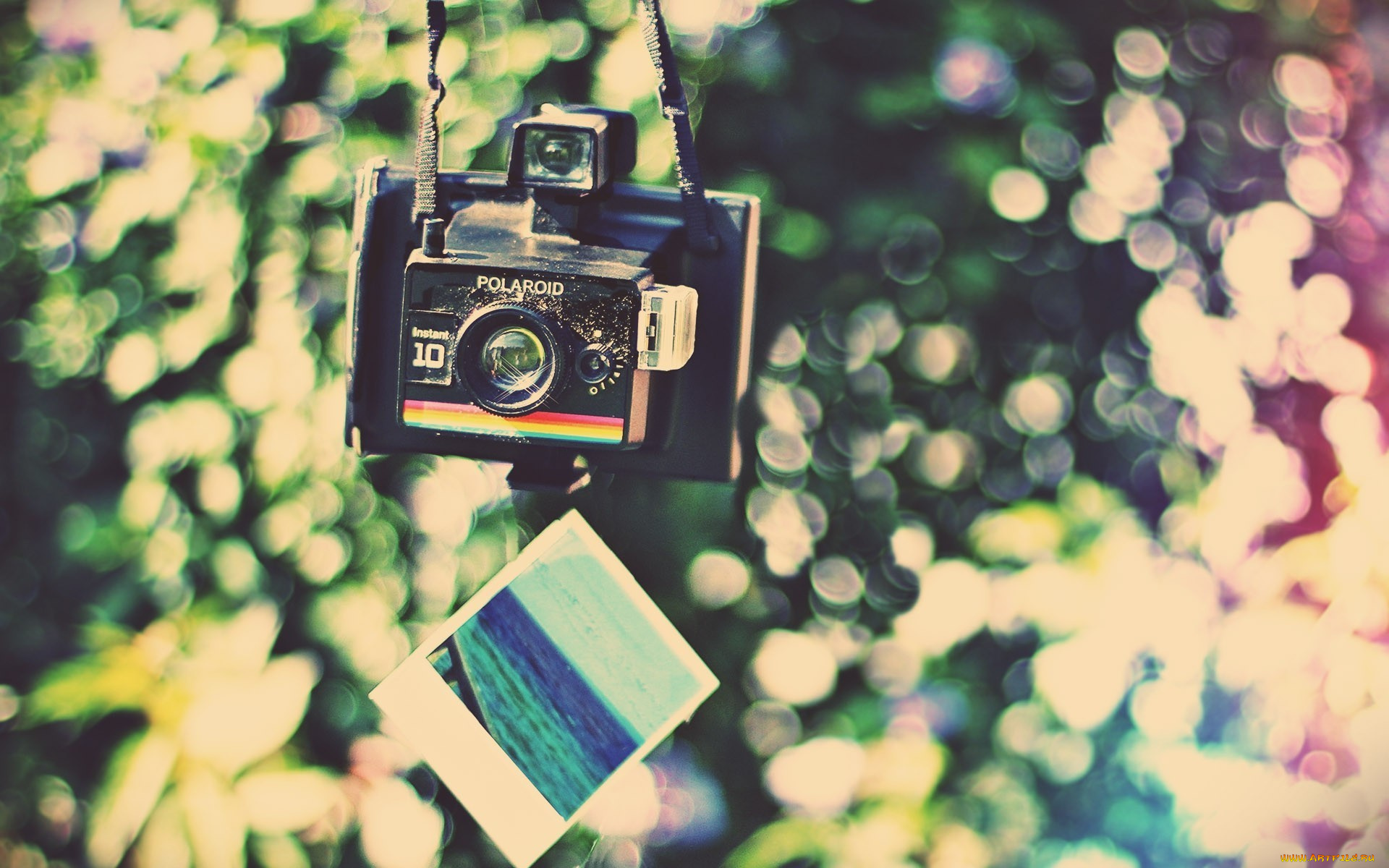 бренды, polaroid, снимок, камера, радуга, блики, фотоаппарат, полароид