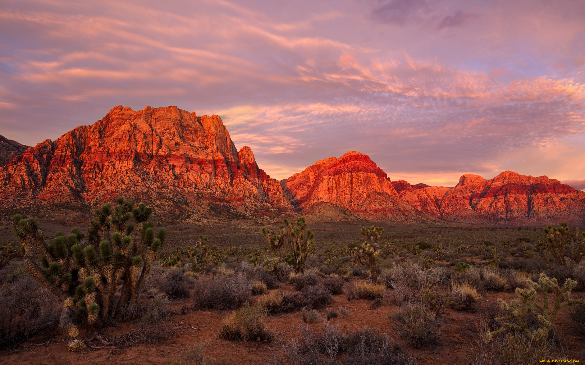 природа, горы, пустыня, зарево, скалы, сша, невада, лас-вегас, national, conservation, area, red, rock, canyon