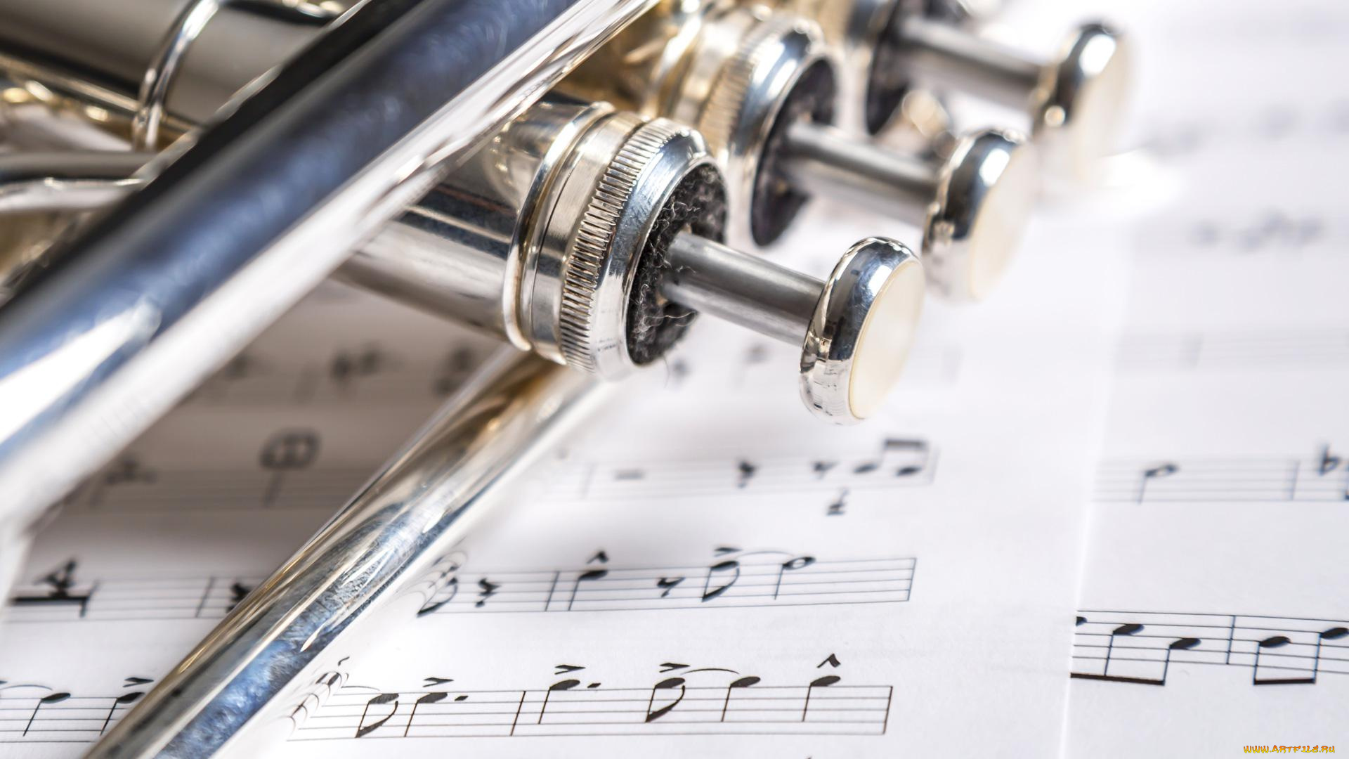 музыка, -музыкальные, инструменты, деталь, ноты, труба