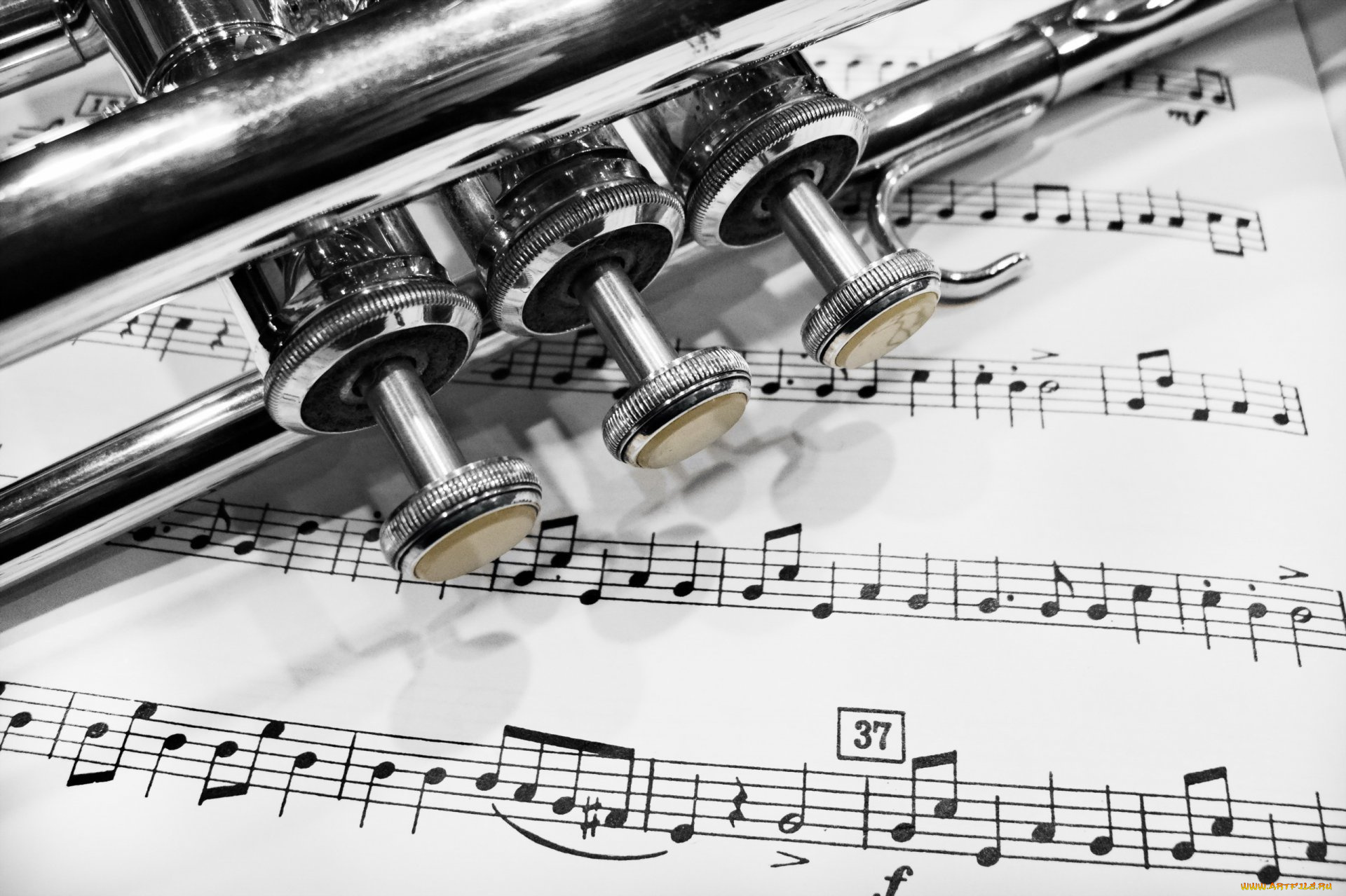 музыка, -музыкальные, инструменты, труба, ноты