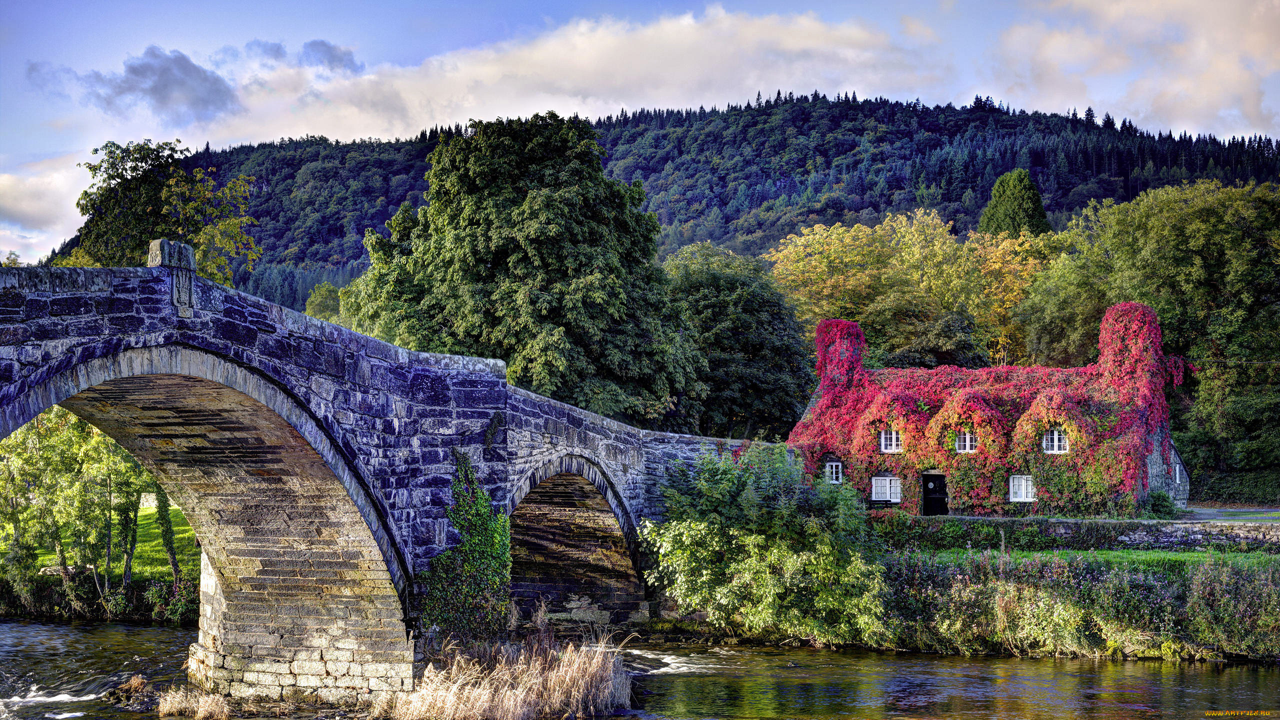 llanrwst, , conwy, , north, wales, города, -, мосты, река, мост, каменный, коттедж