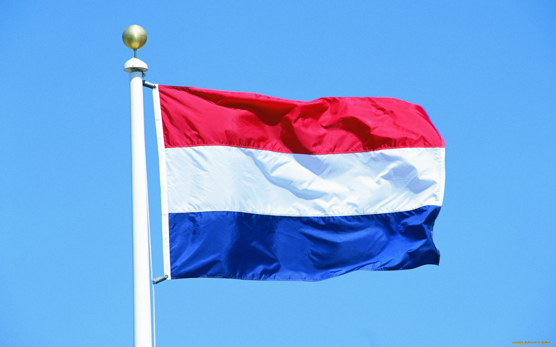 разное, флаги, гербы, нидерланды, флаг