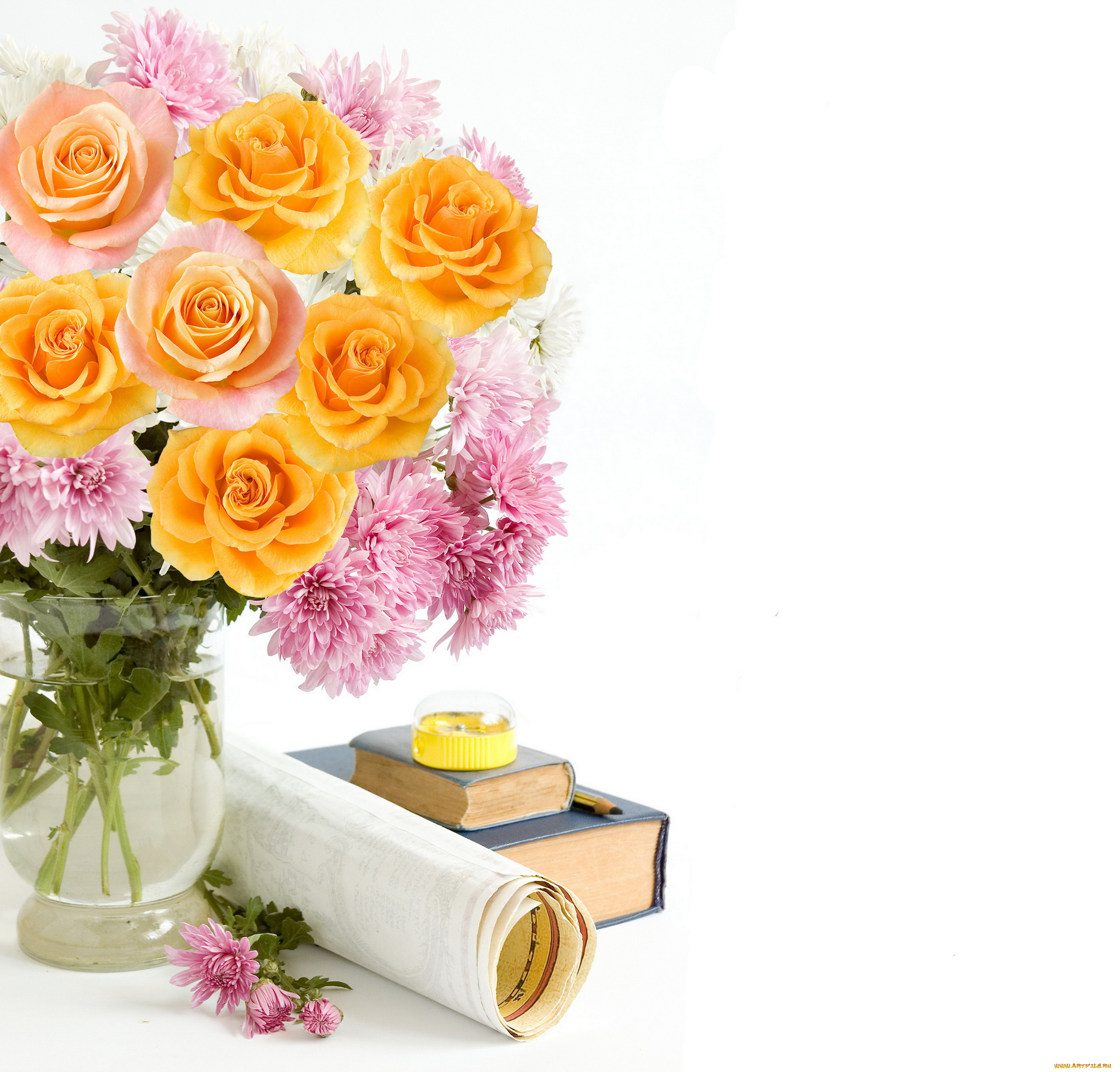 праздничные, день, знаний, хризантемы, розы, карандаш, книги, точилка