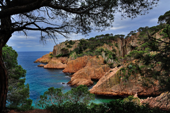 Картинка коста брава испания природа побережье деревья море камни