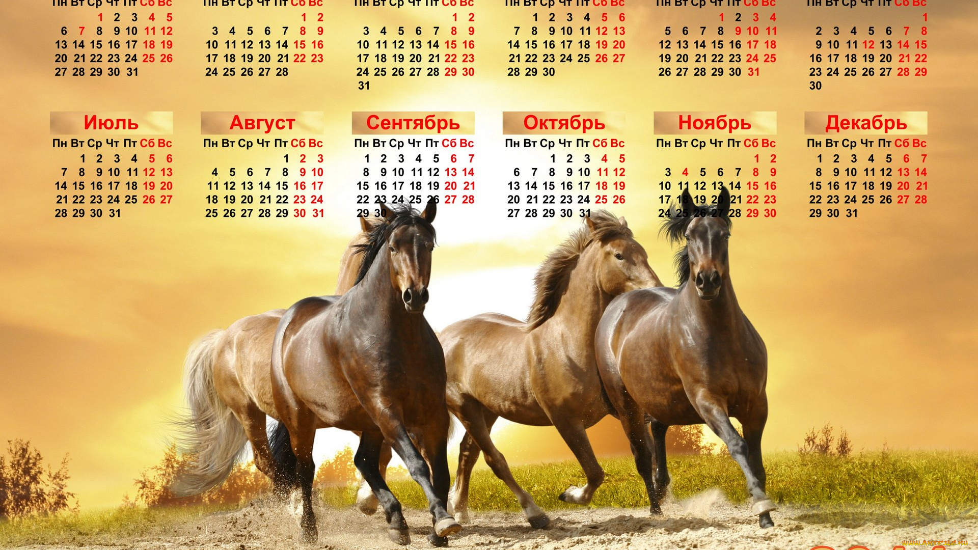 календари, животные, календарь, лошади