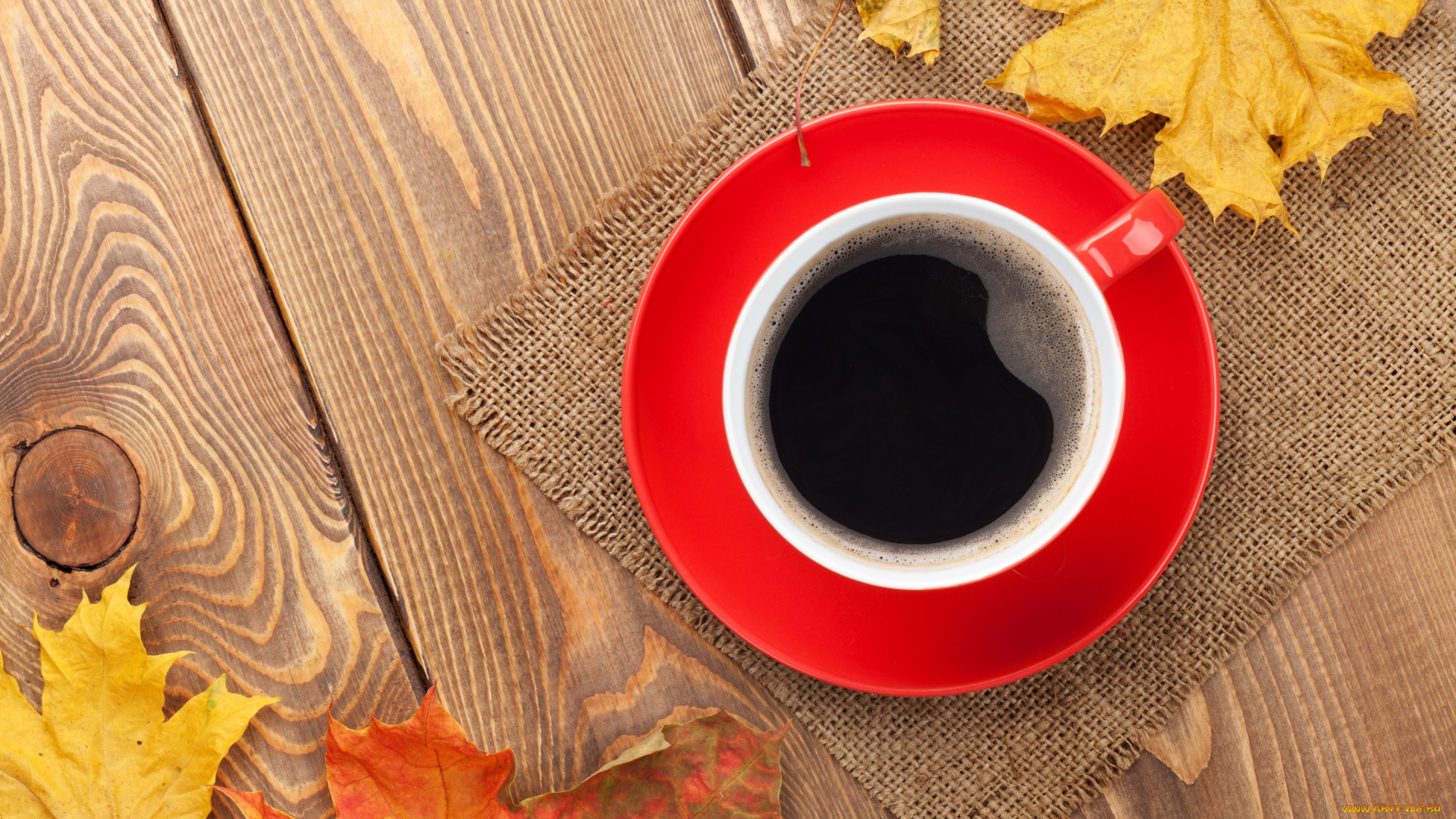 еда, кофе, , кофейные, зёрна, осенние, листья, осень, чашка, клён, autumn, coffee, cup, maple, leaves, fall