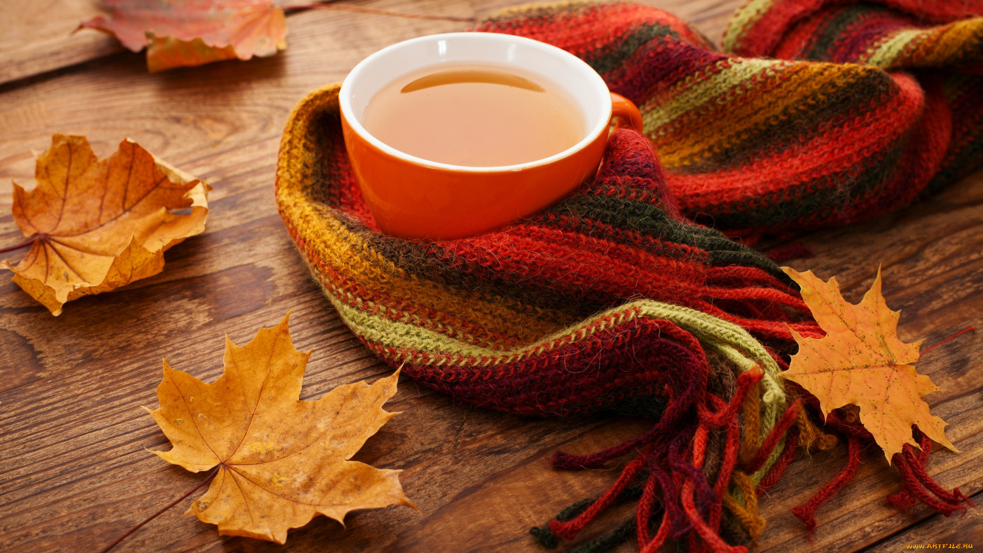 еда, напитки, , Чай, cup, maple, leaves, осень, чашка, клён, осенние, листья, scarf, tea, fall, autumn