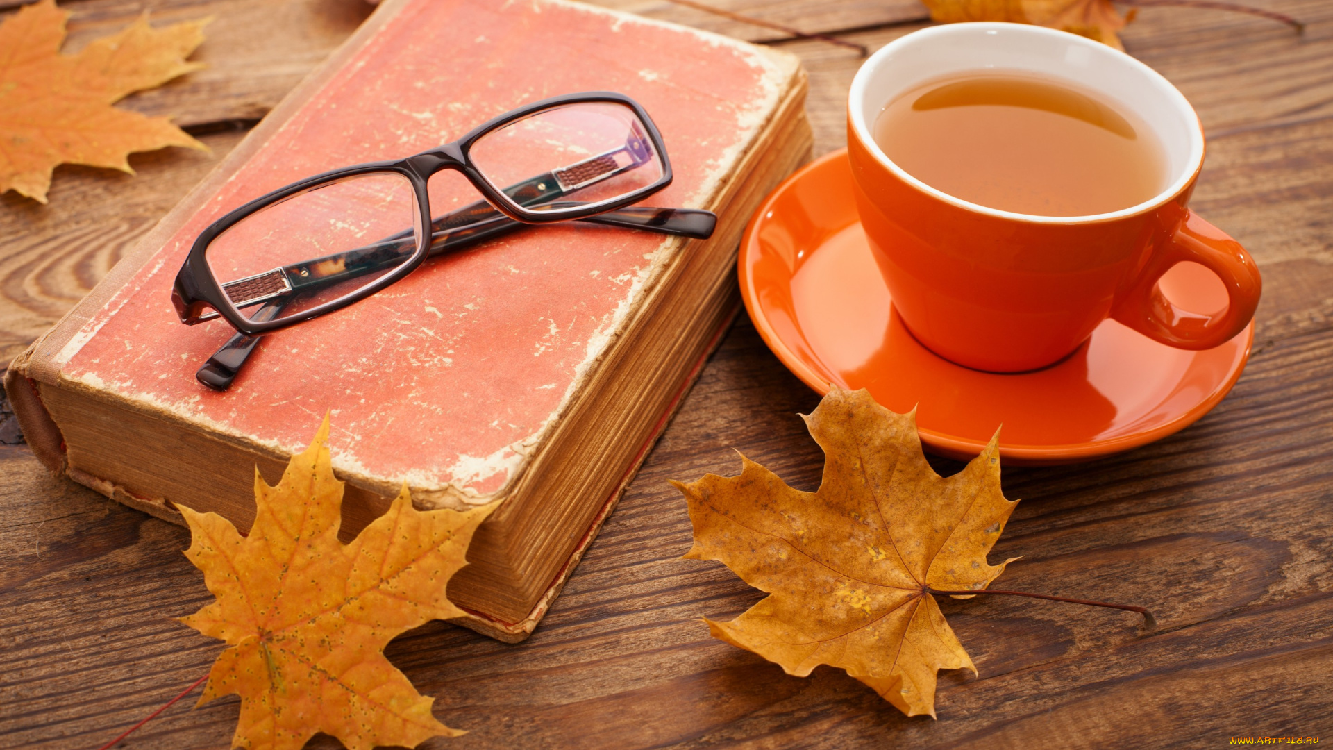 еда, напитки, , Чай, осень, cup, чашка, клён, осенние, листья, tea, autumn, fall, leaves, maple