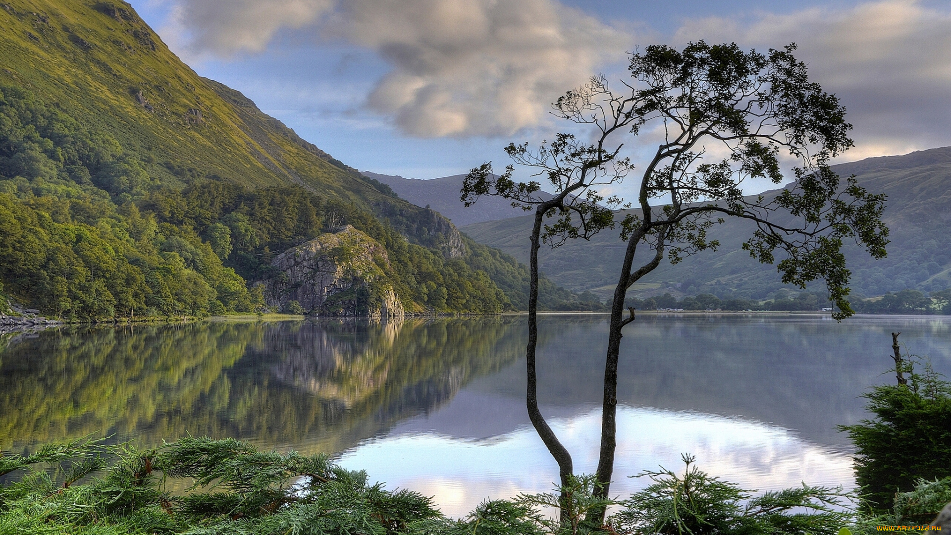 природа, реки, озера, gwynant, lake, nant, valley, snowdonia, national, park, wales, england, сноудония, уэльс, англия, озеро, горы, дерево, отражение