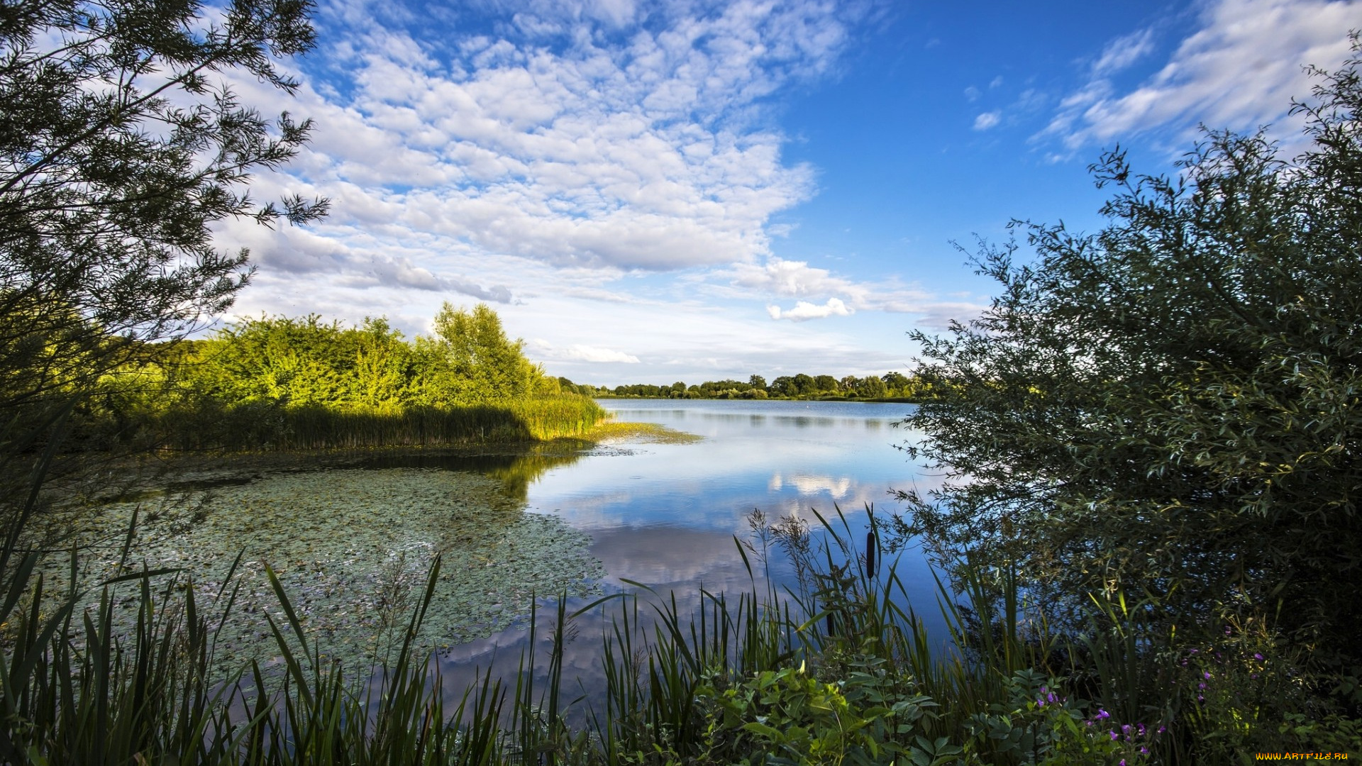 природа, реки, озера, растительность, cambridgeshire, река, англия, облака, небо, river, great, ouse, кембриджшир, грейт-уз, england