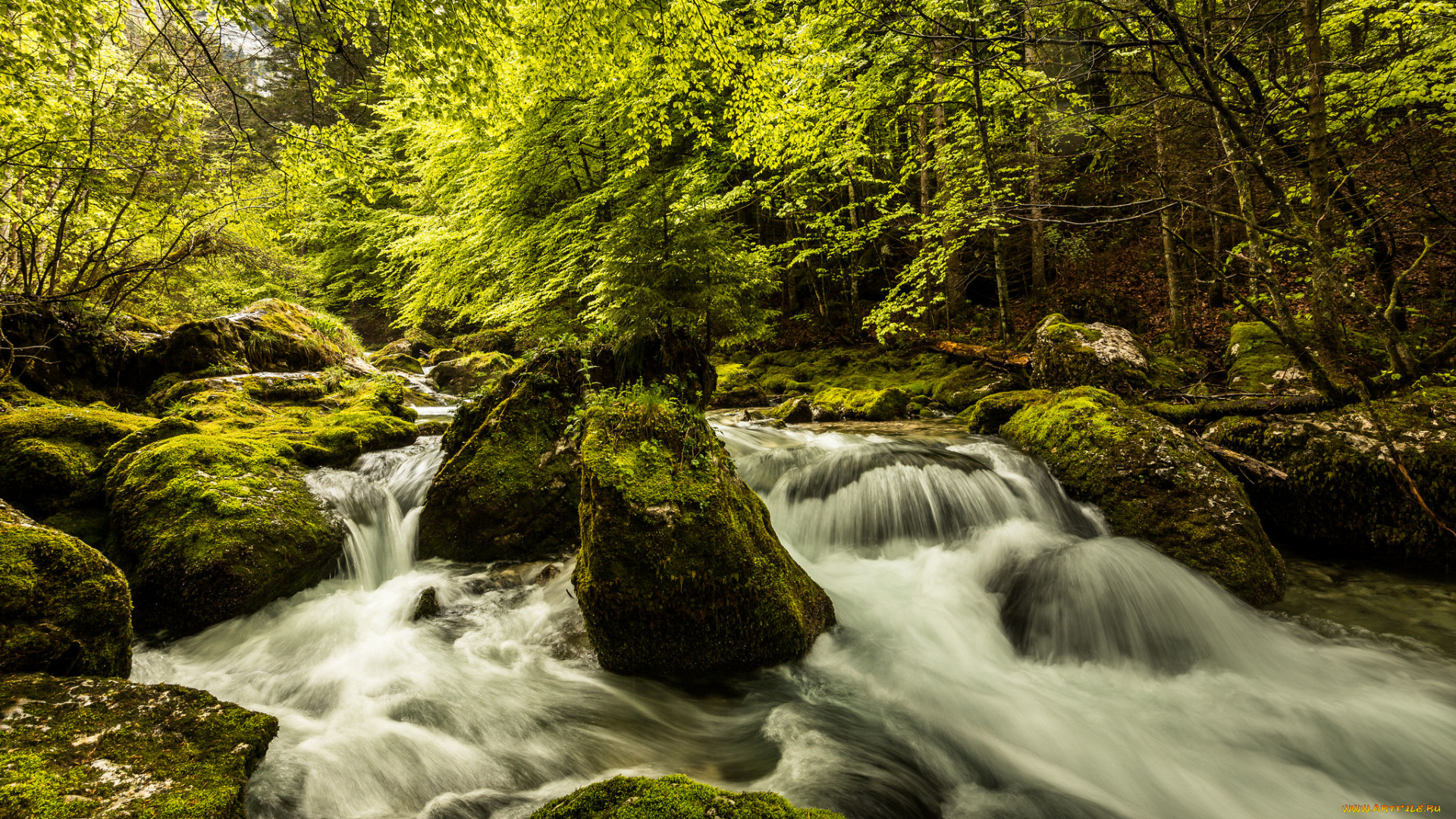 природа, водопады, река, лес, водопад