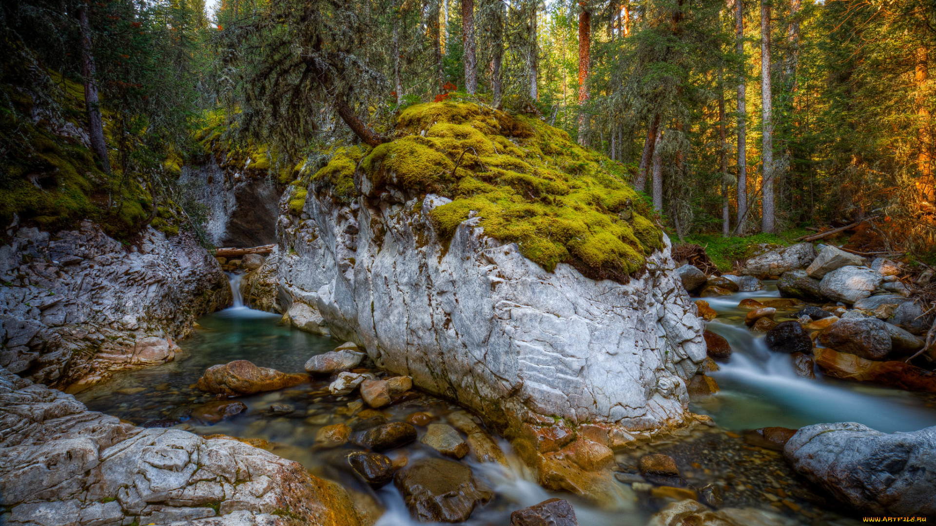 природа, водопады, водопад, река, лес