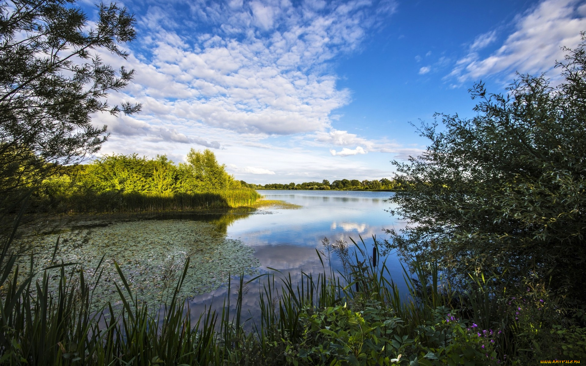 природа, реки, озера, растительность, cambridgeshire, река, англия, облака, небо, river, great, ouse, кембриджшир, грейт-уз, england