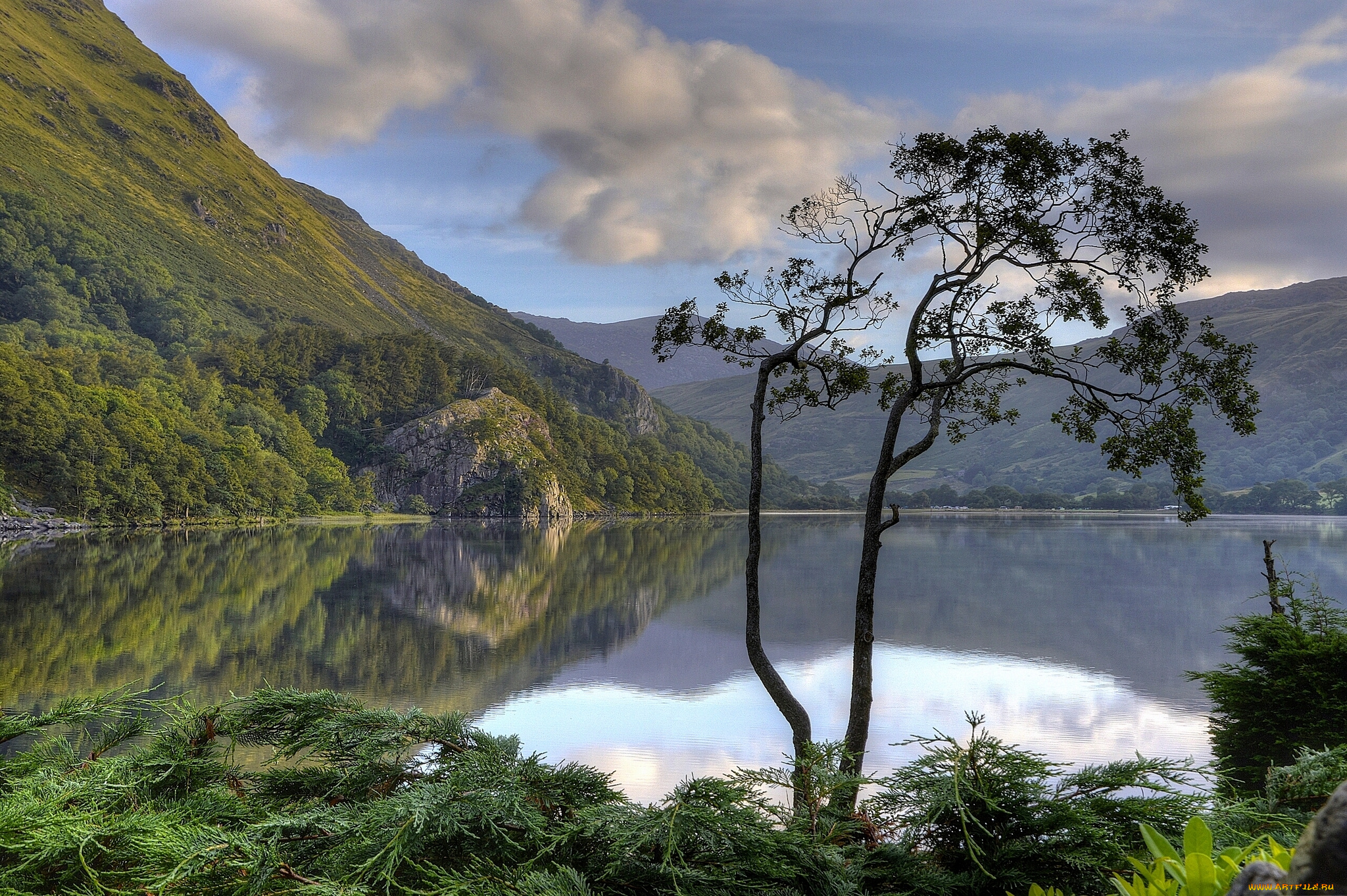 природа, реки, озера, gwynant, lake, nant, valley, snowdonia, national, park, wales, england, сноудония, уэльс, англия, озеро, горы, дерево, отражение