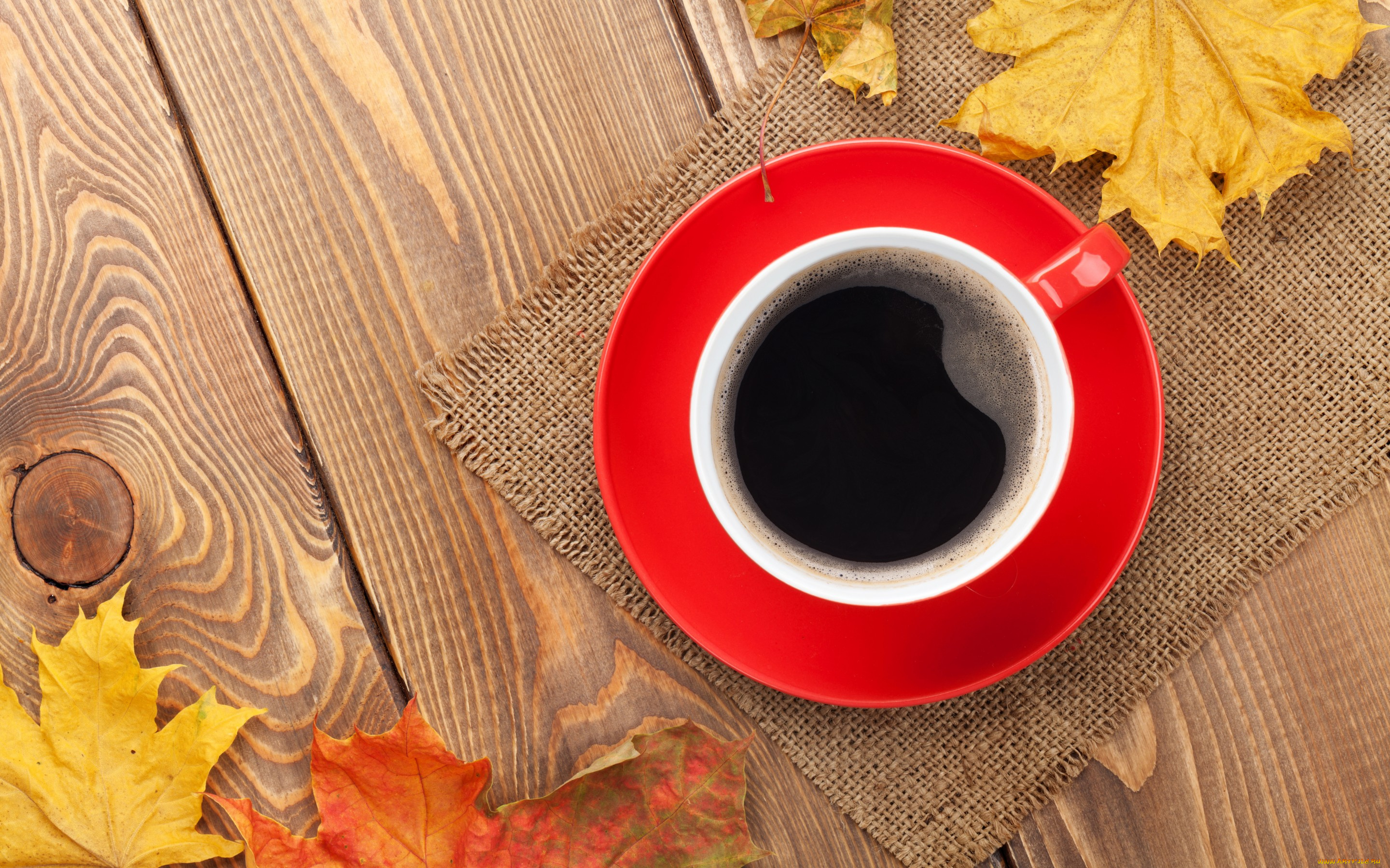 еда, кофе, , кофейные, зёрна, осенние, листья, осень, чашка, клён, autumn, coffee, cup, maple, leaves, fall