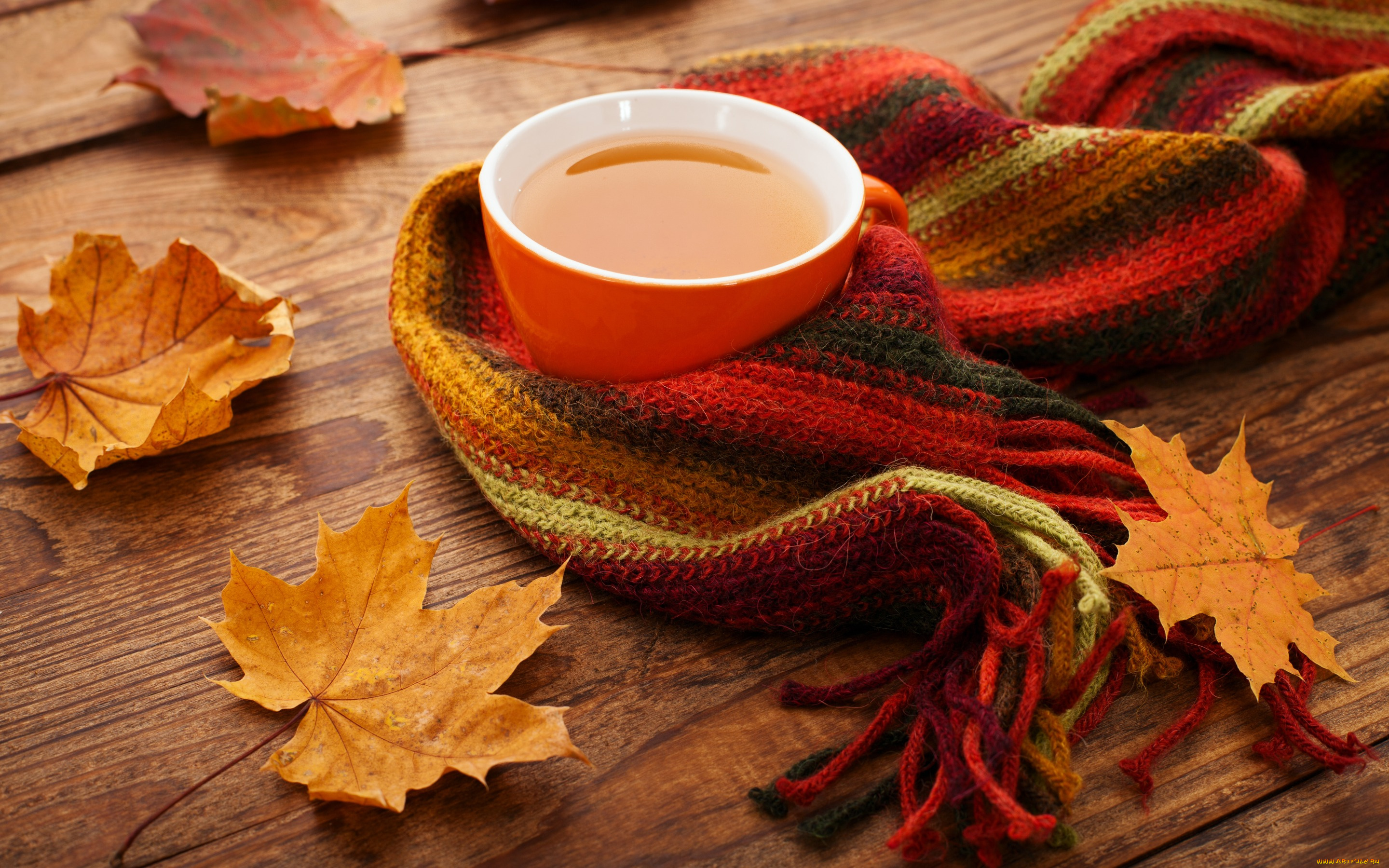 еда, напитки, , Чай, cup, maple, leaves, осень, чашка, клён, осенние, листья, scarf, tea, fall, autumn