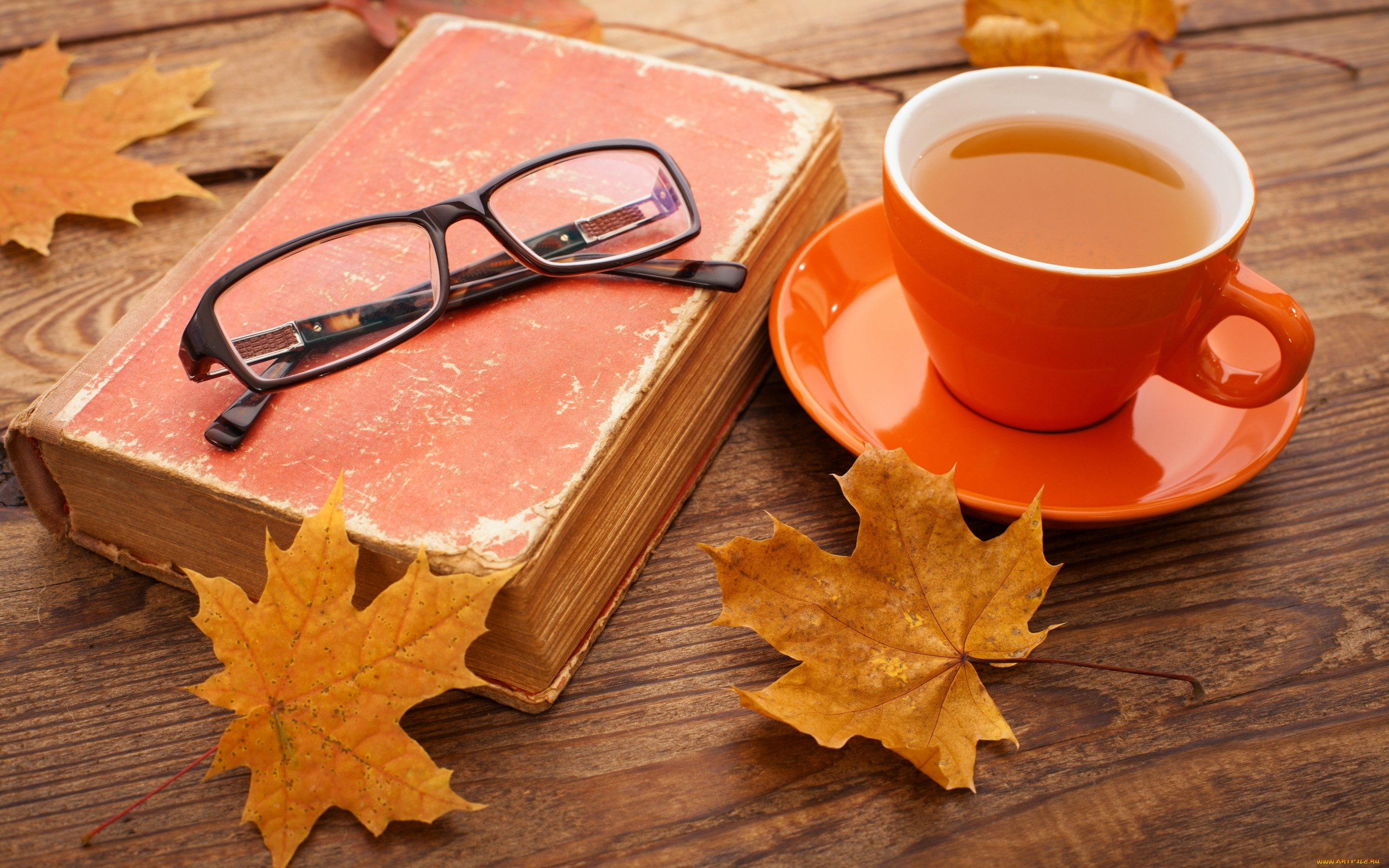 еда, напитки, , Чай, осень, cup, чашка, клён, осенние, листья, tea, autumn, fall, leaves, maple