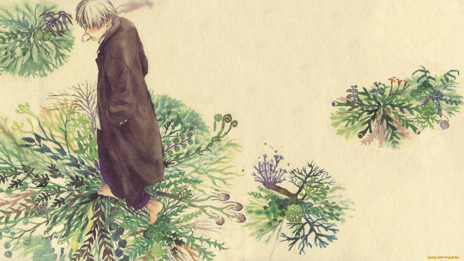 аниме, mushishi, ginko