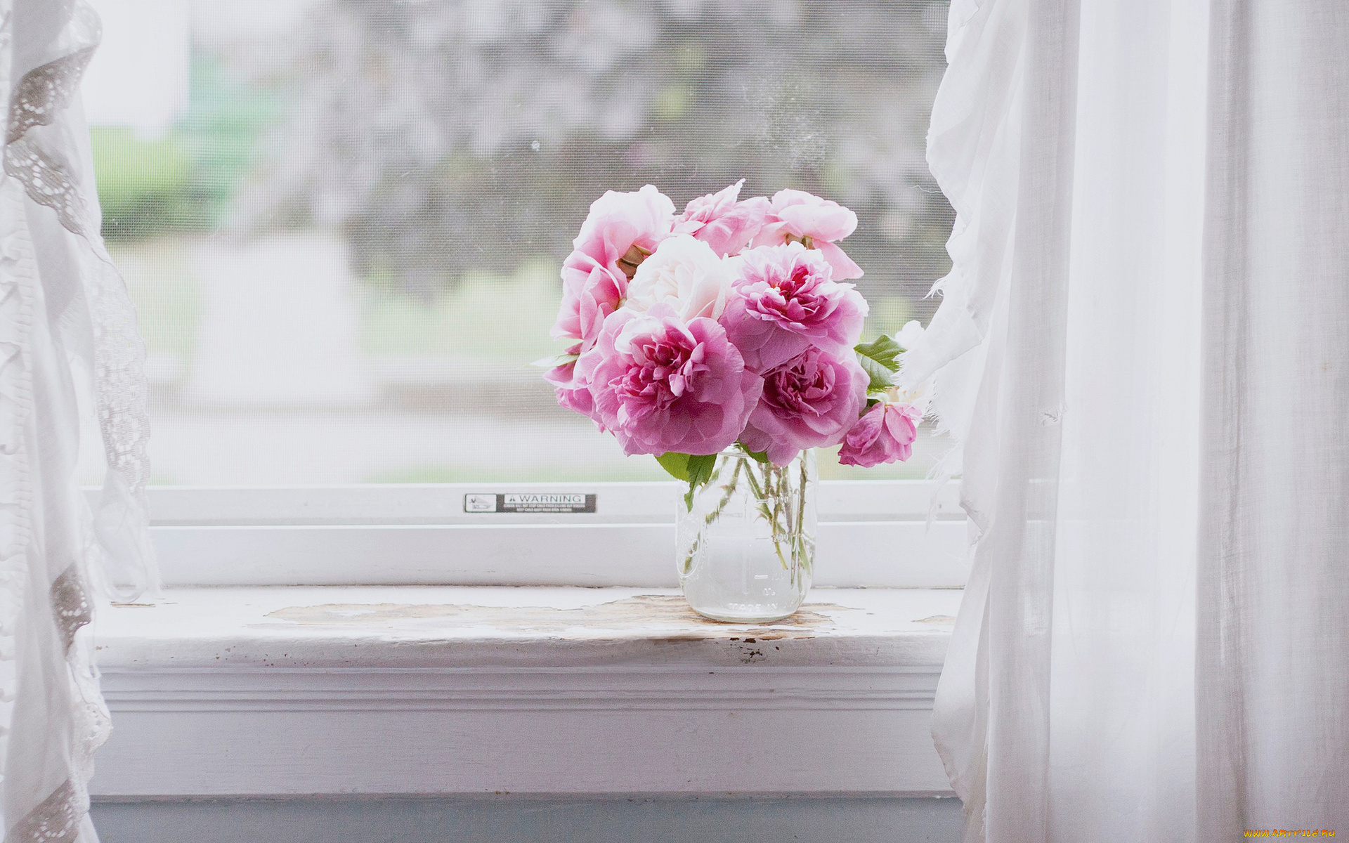 цветы, розы, окно, занавески, букет