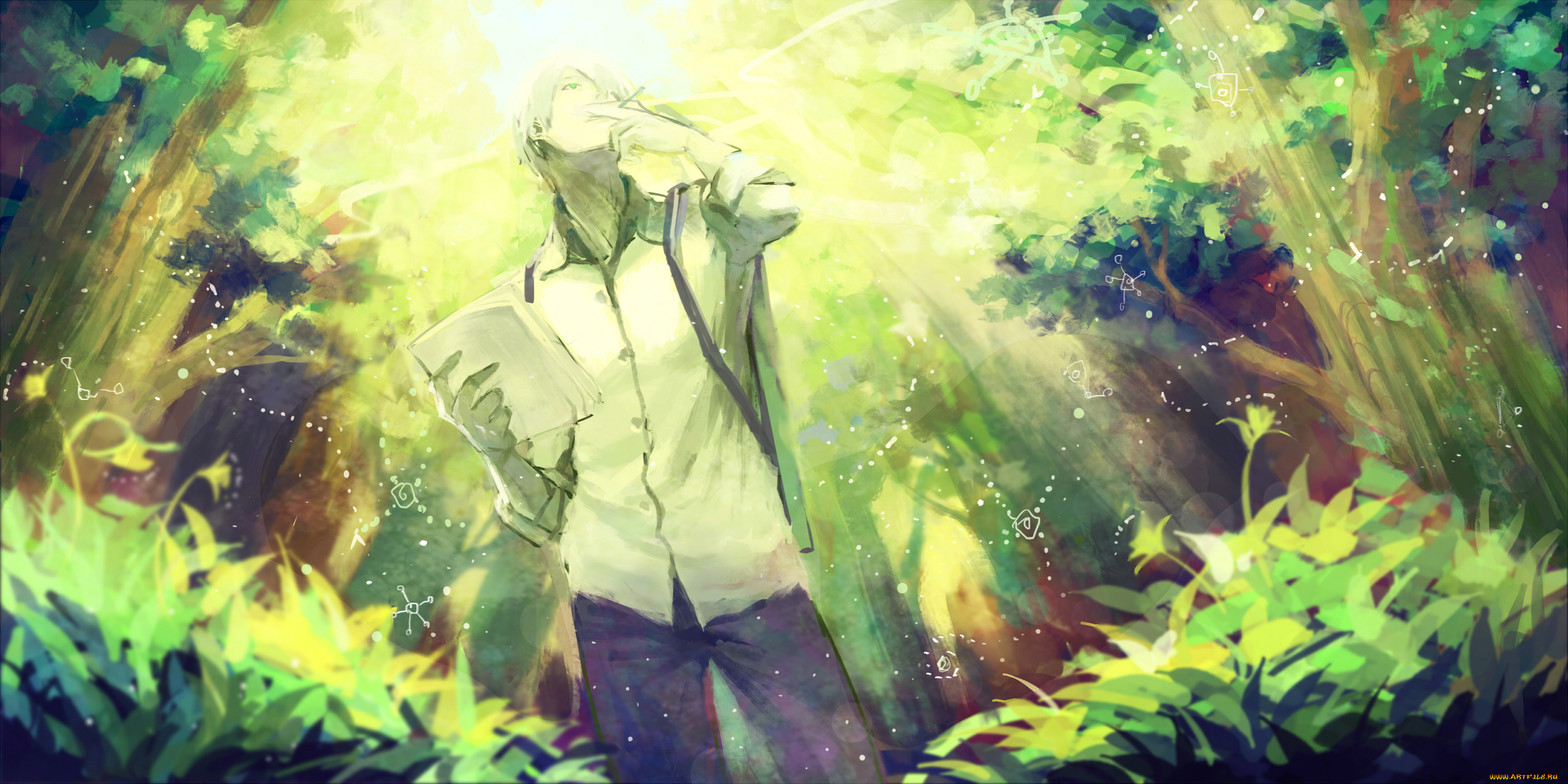 аниме, mushishi, ginko