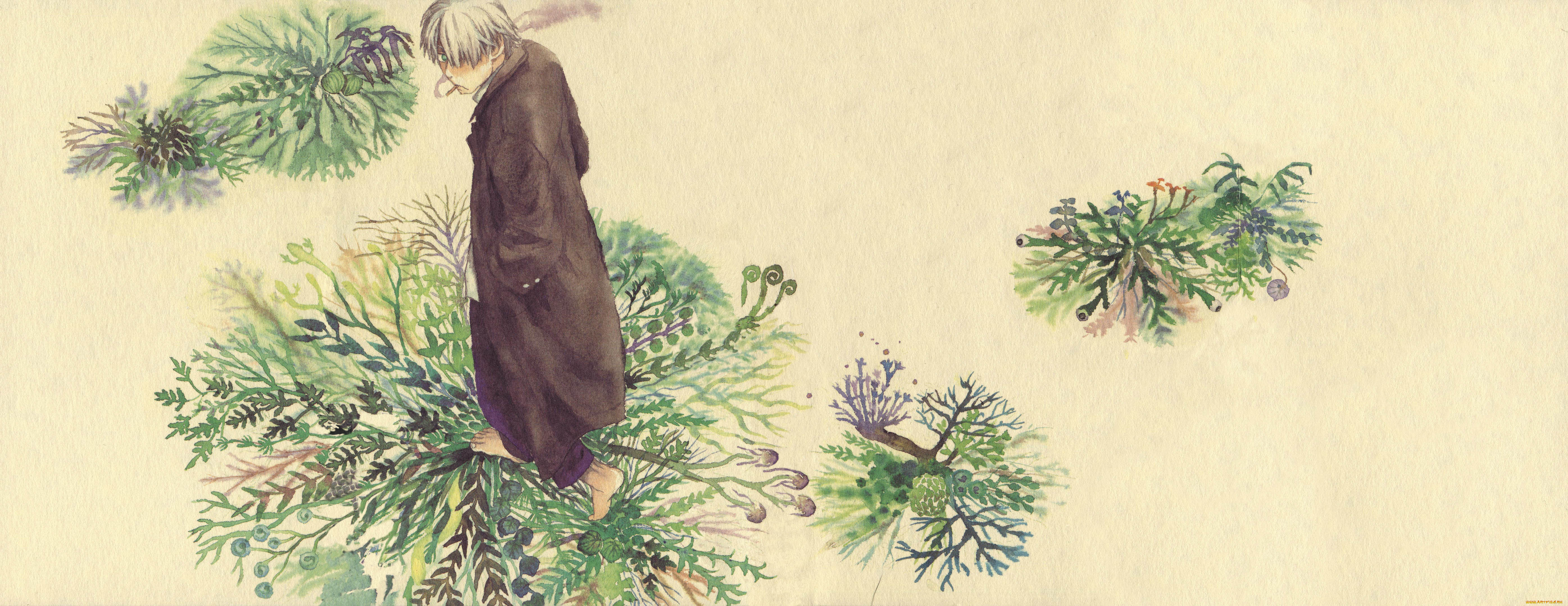 аниме, mushishi, ginko