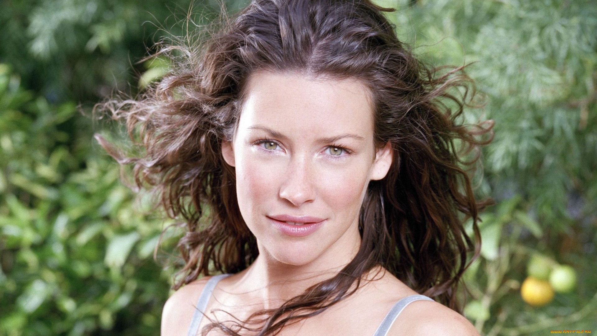 evangeline, lilly, девушки, evangeline, lilly, девушка, актриса, модель, красотка, стройная, сексуальная, лицо, макияж, взгляд, кино