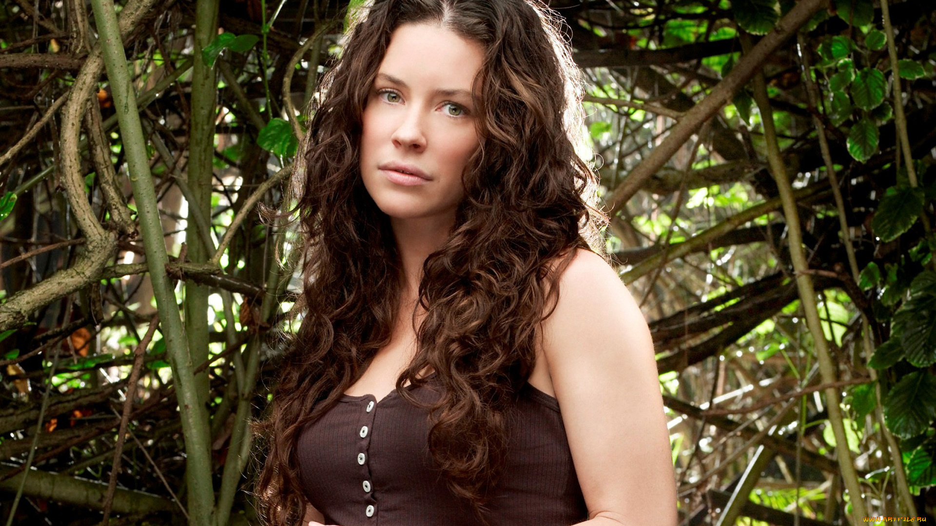 evangeline, lilly, девушки, evangeline, lilly, поза, девушка, актриса, модель, красотка, стройная, сексуальная, лицо, макияж, взгляд, кино