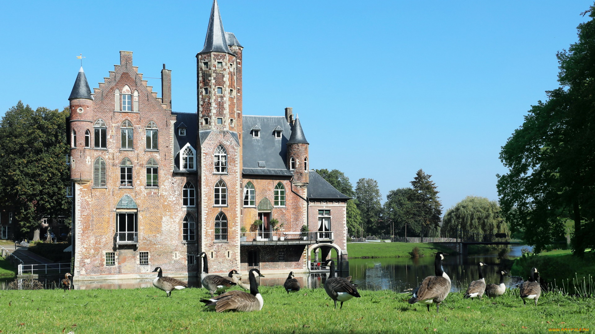 wissekerke, castle, belgium, города, замки, бельгии, wissekerke, castle