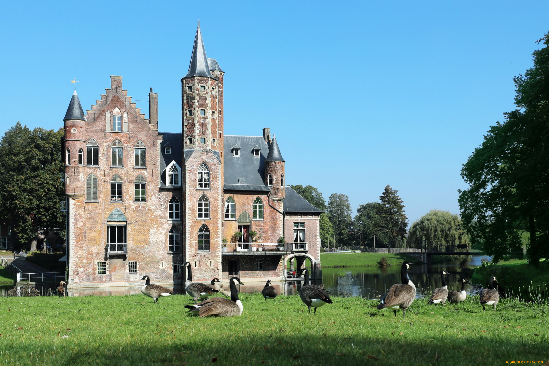 wissekerke, castle, belgium, города, замки, бельгии, wissekerke, castle