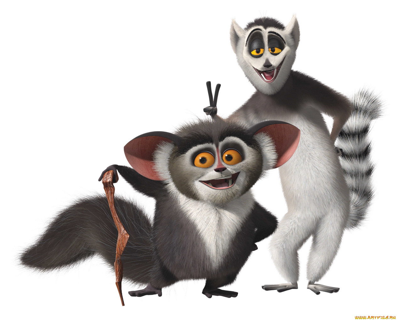 мультфильмы, madagascar