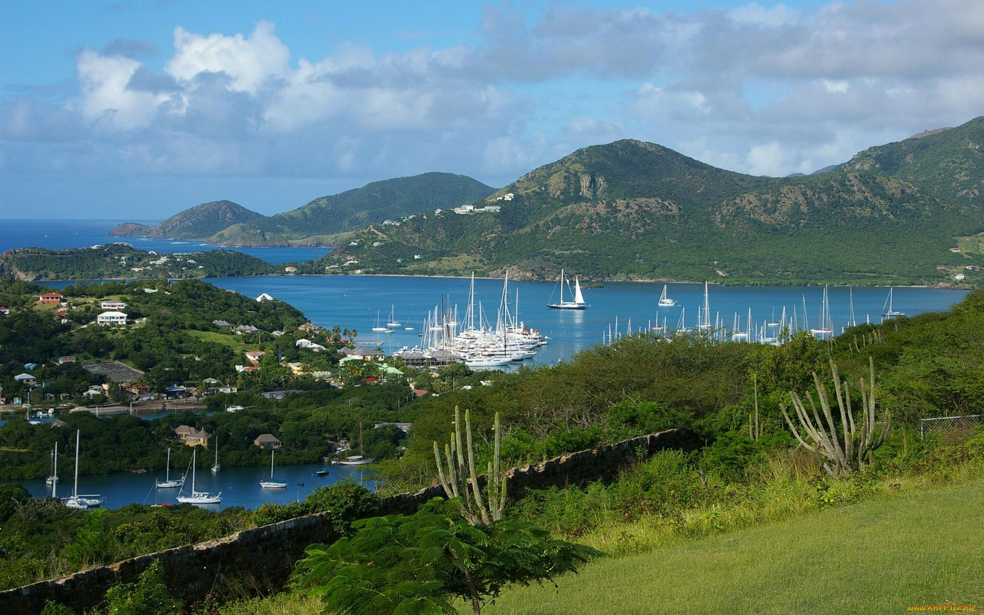 antigua, leeward, islands, природа, пейзажи