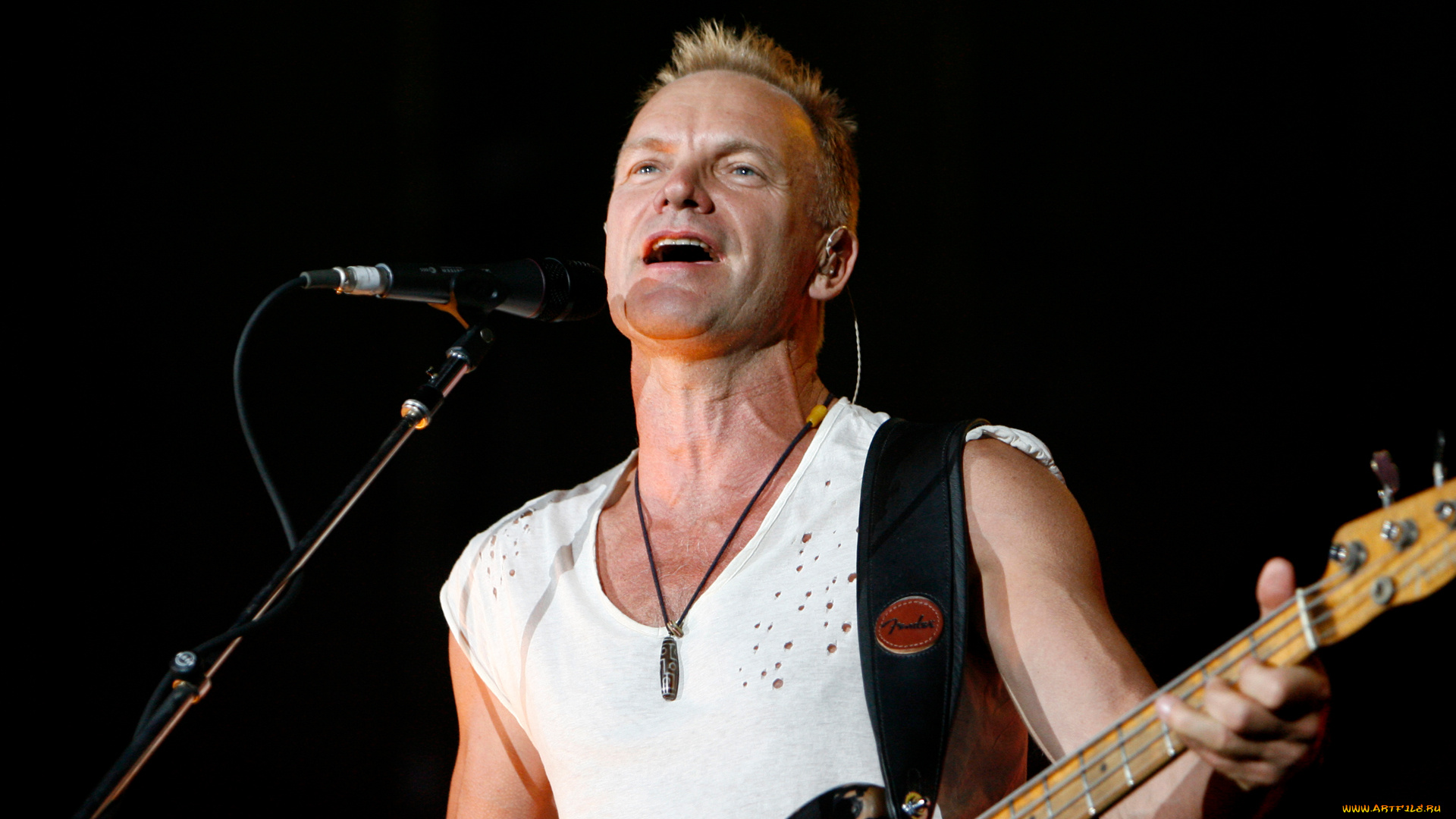 sting, музыка