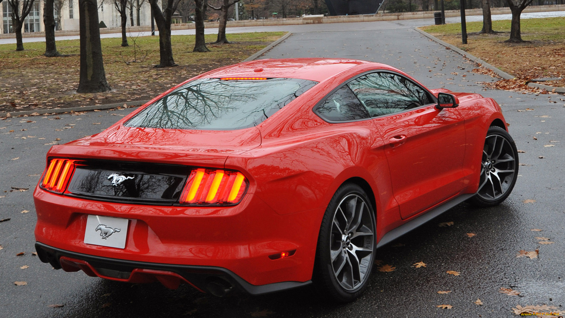 автомобили, mustang, ford, 2015г, красный, coupe