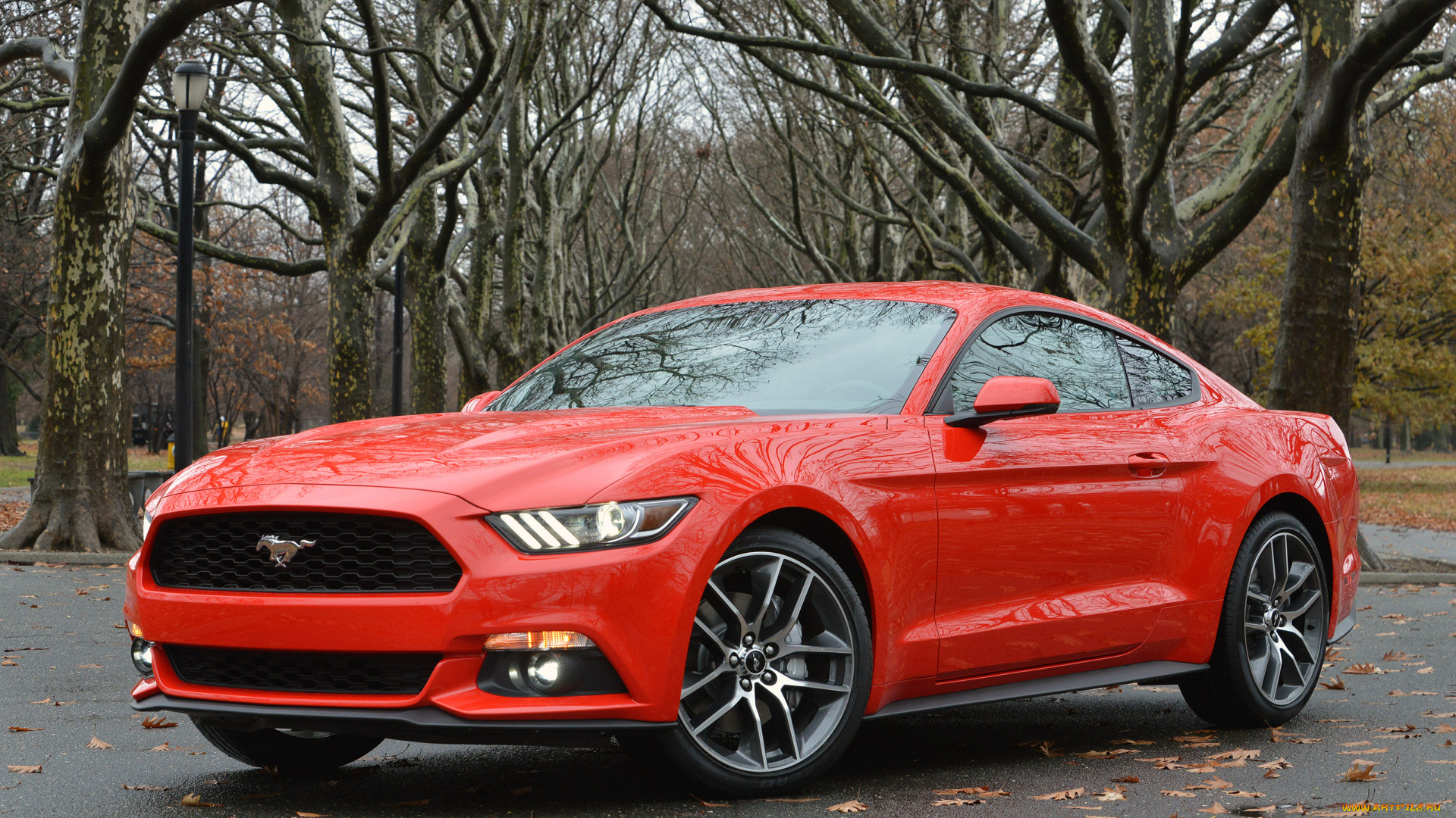 автомобили, mustang, красный, coupe, 2015г, ford