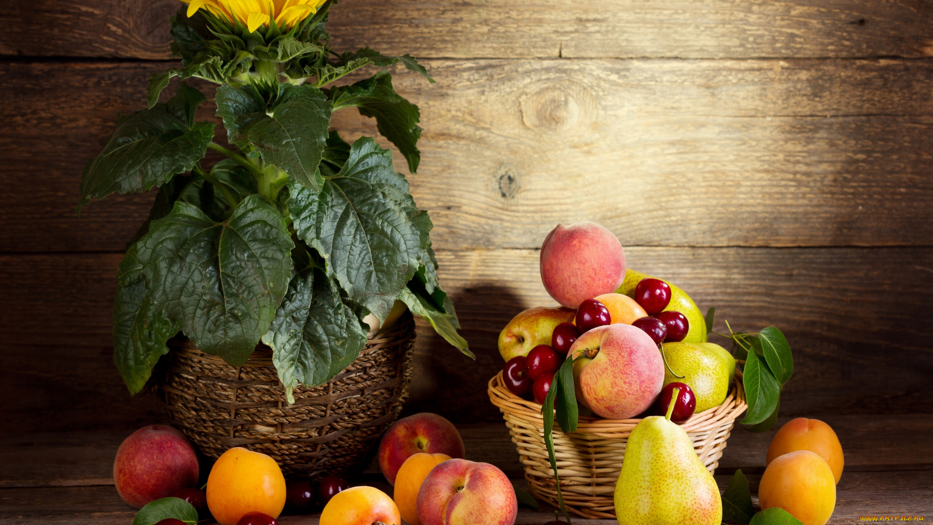еда, фрукты, , ягоды, цветок, черешня, корзинка, персик, груша, абрикос