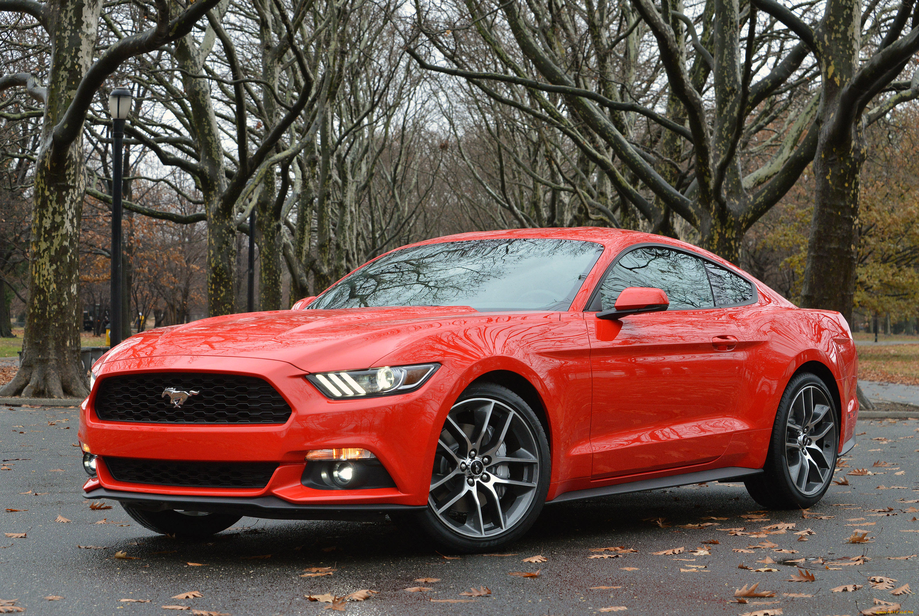 автомобили, mustang, красный, coupe, 2015г, ford