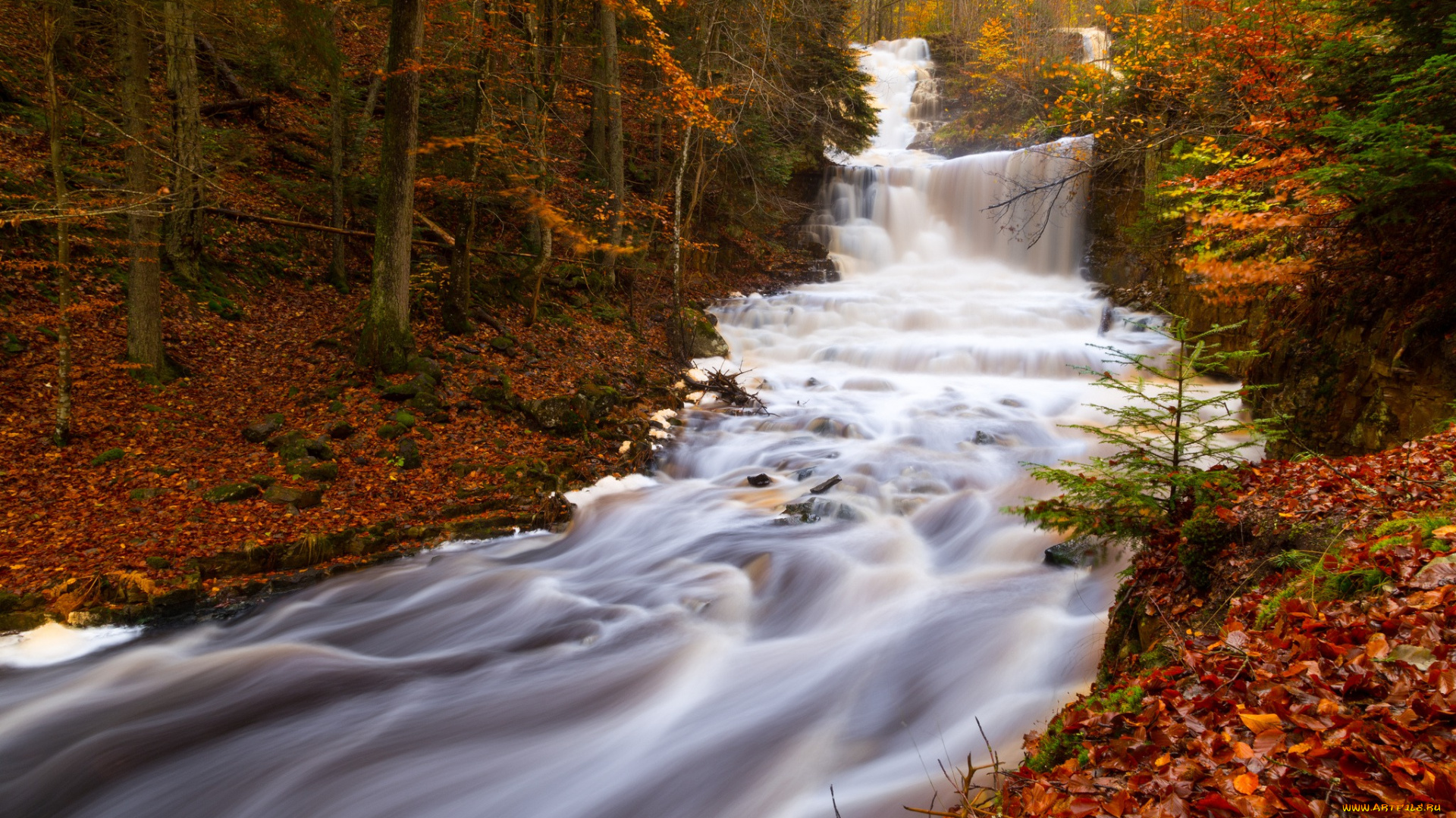 природа водопад осень деревья бесплатно