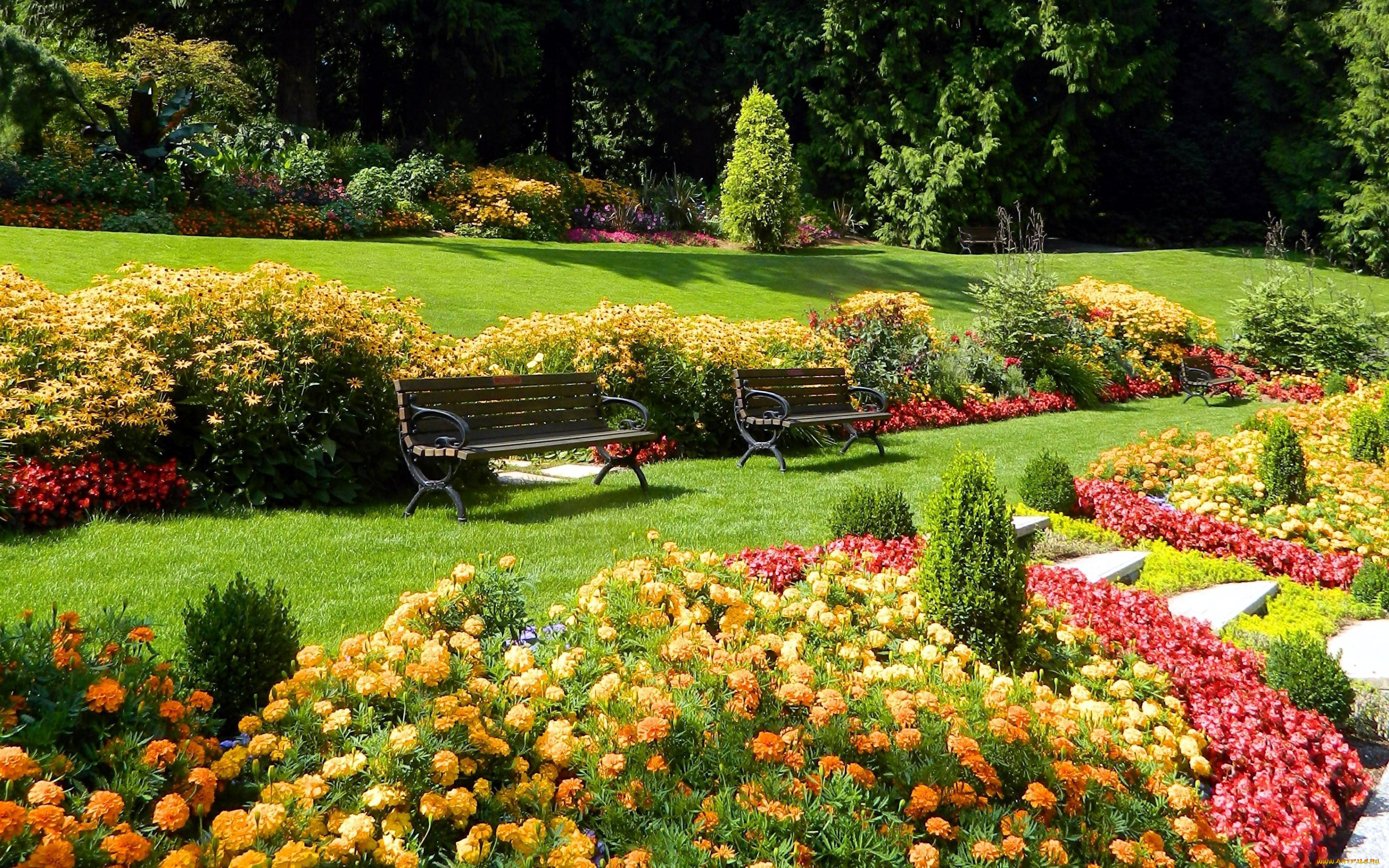 природа, парк, скамейки, бархатцы, цветы, клумбы, лужайки