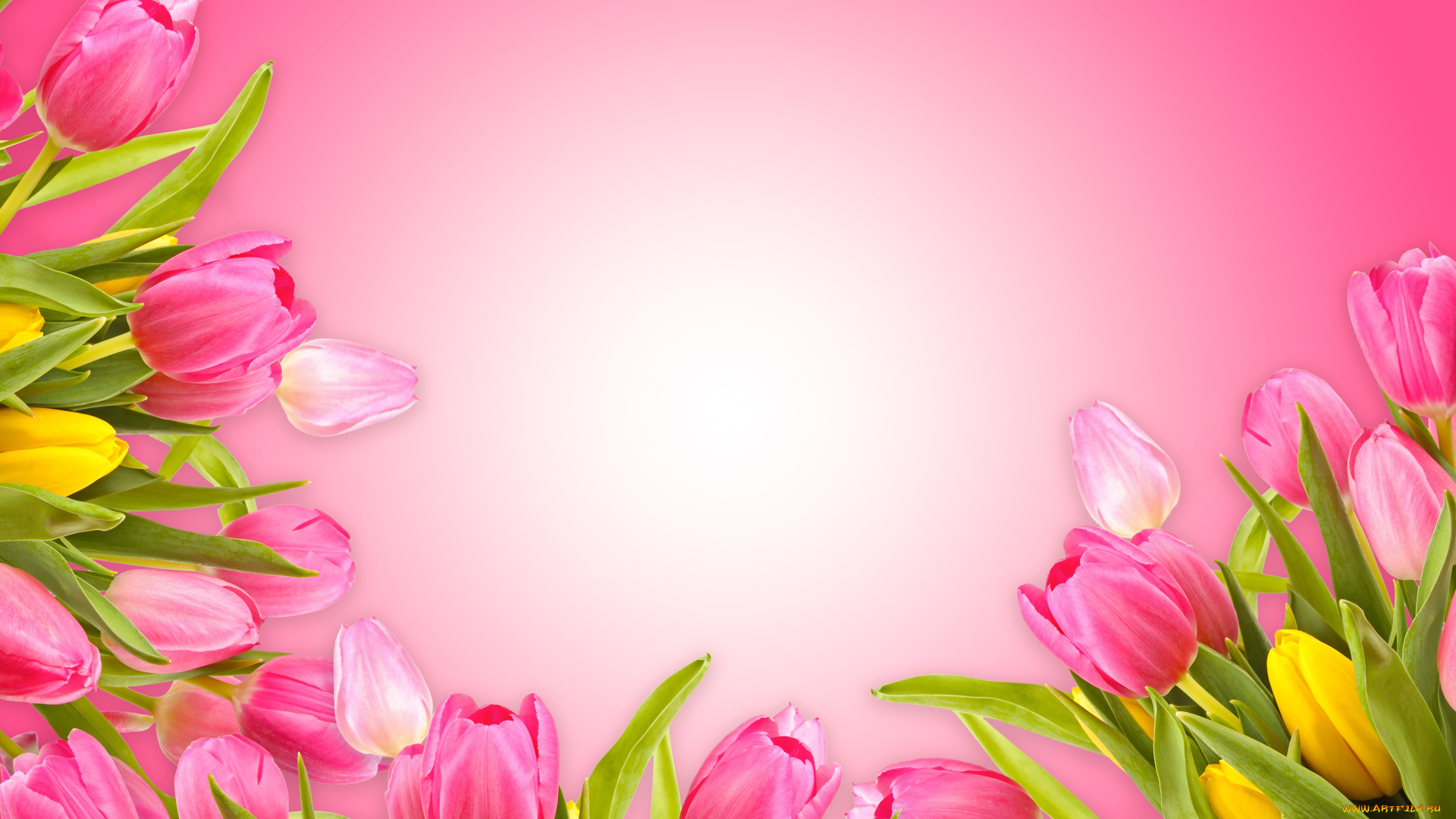 цветы, тюльпаны, fresh, love, pink, розовый, фон, romantic, tulips, flowers