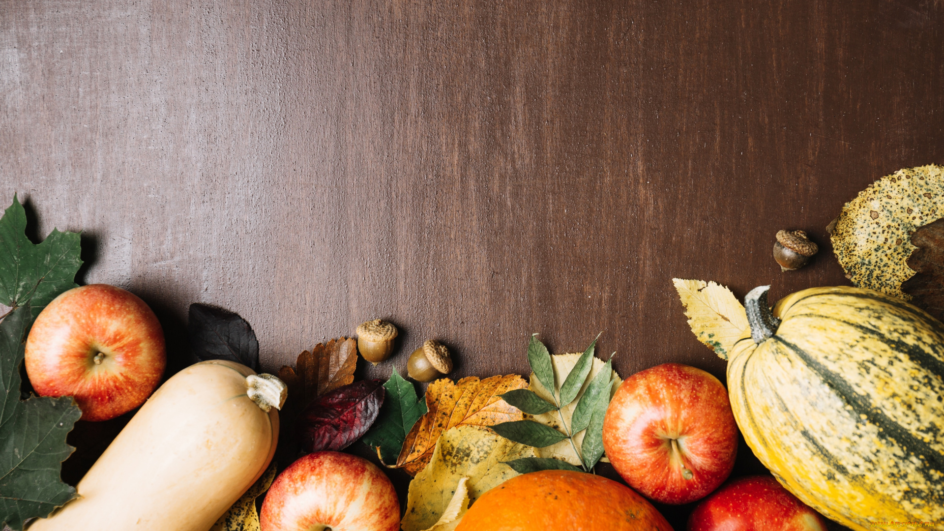 еда, фрукты, и, овощи, вместе, листья, яблоко, тыква, плоды, осень