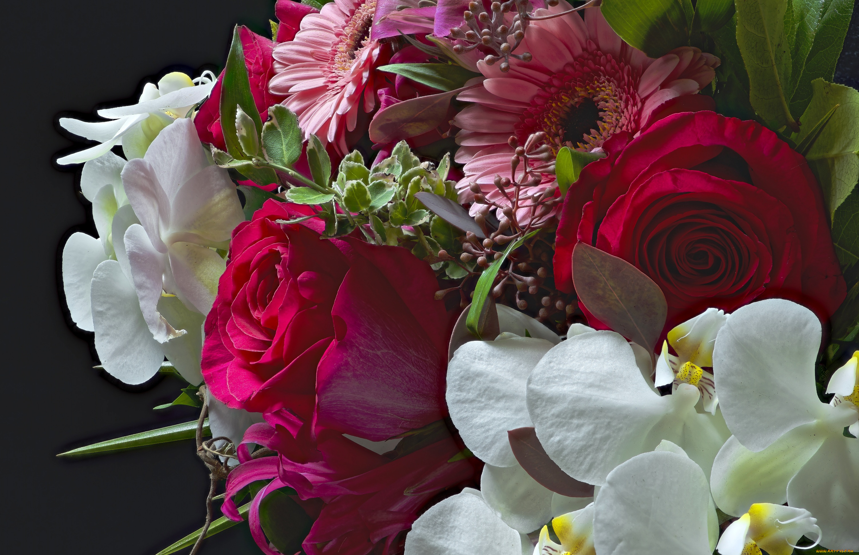 цветы, букеты, , композиции, букет, розы, орхидея, гербера