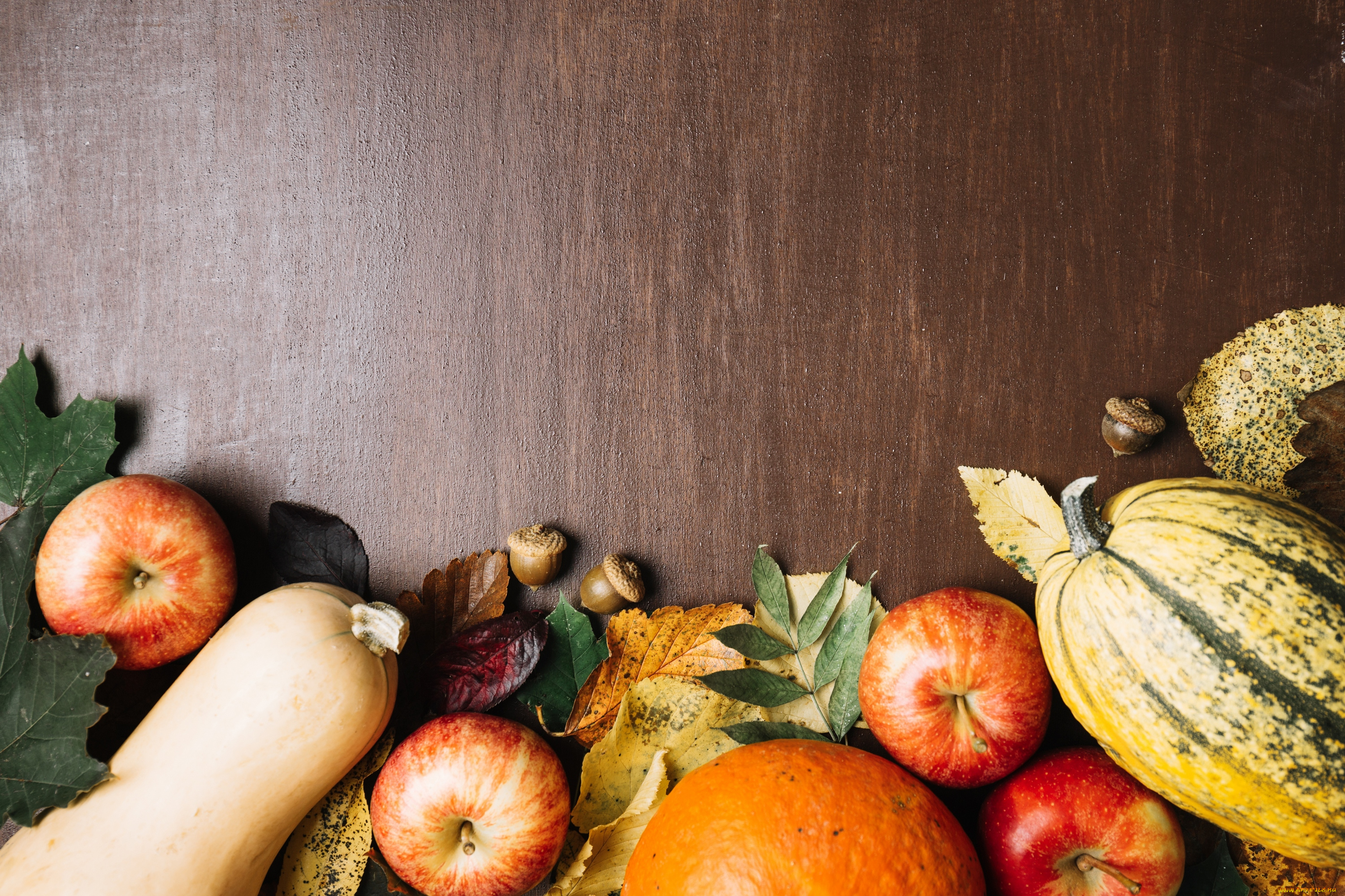 еда, фрукты, и, овощи, вместе, листья, яблоко, тыква, плоды, осень