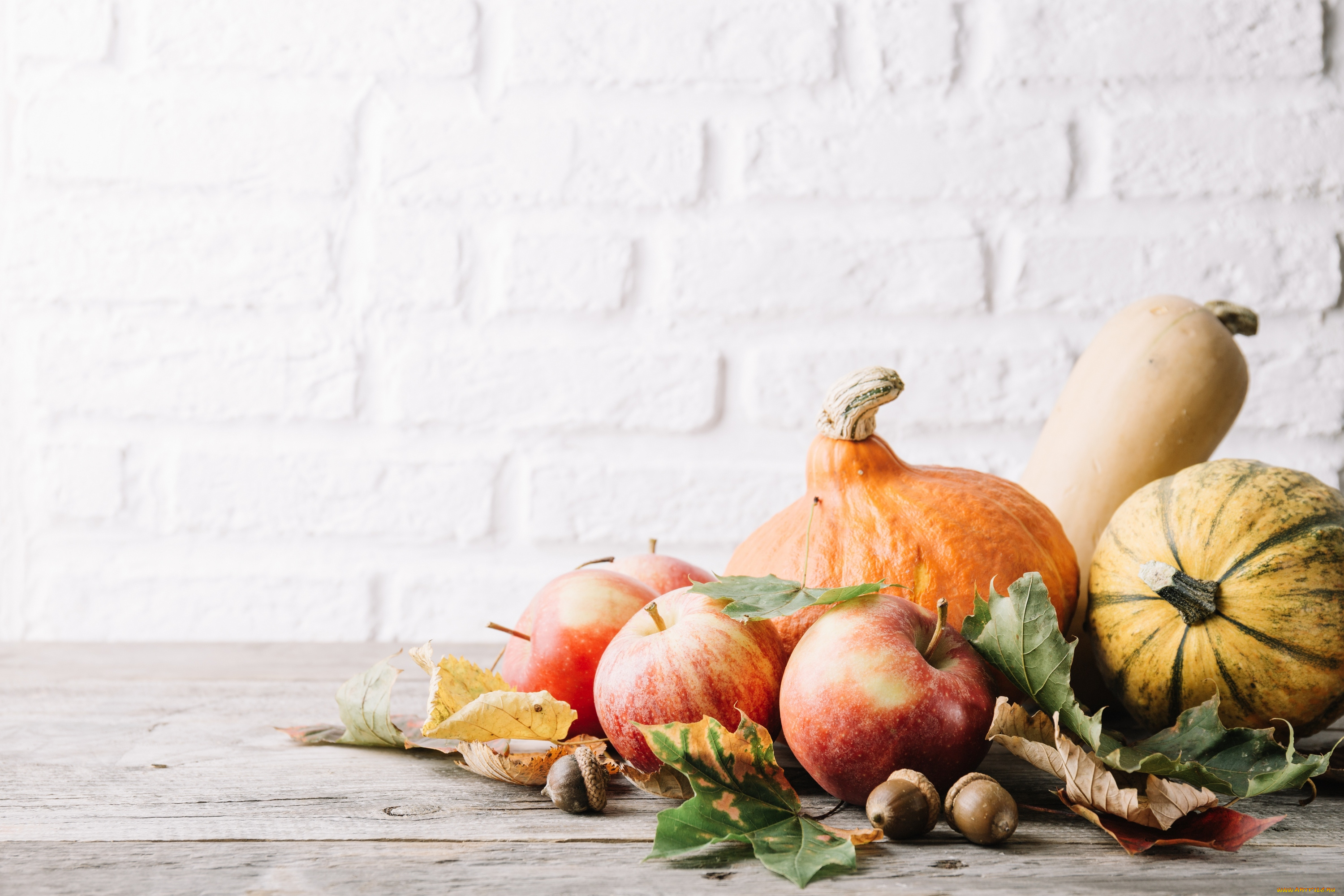 еда, фрукты, и, овощи, вместе, осень, листья, плоды, яблоко, тыква
